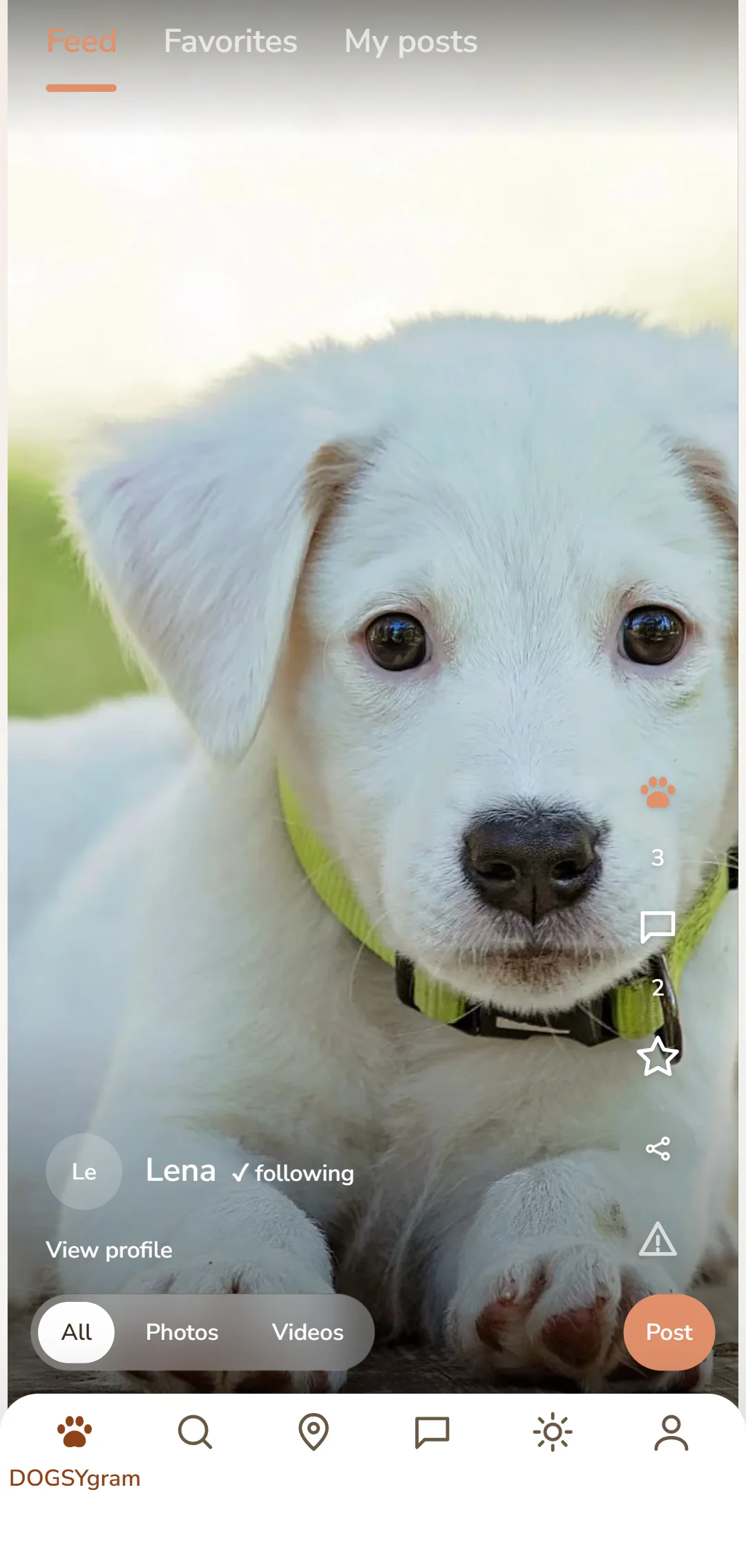 The full-screen feed with dog paw and comments
