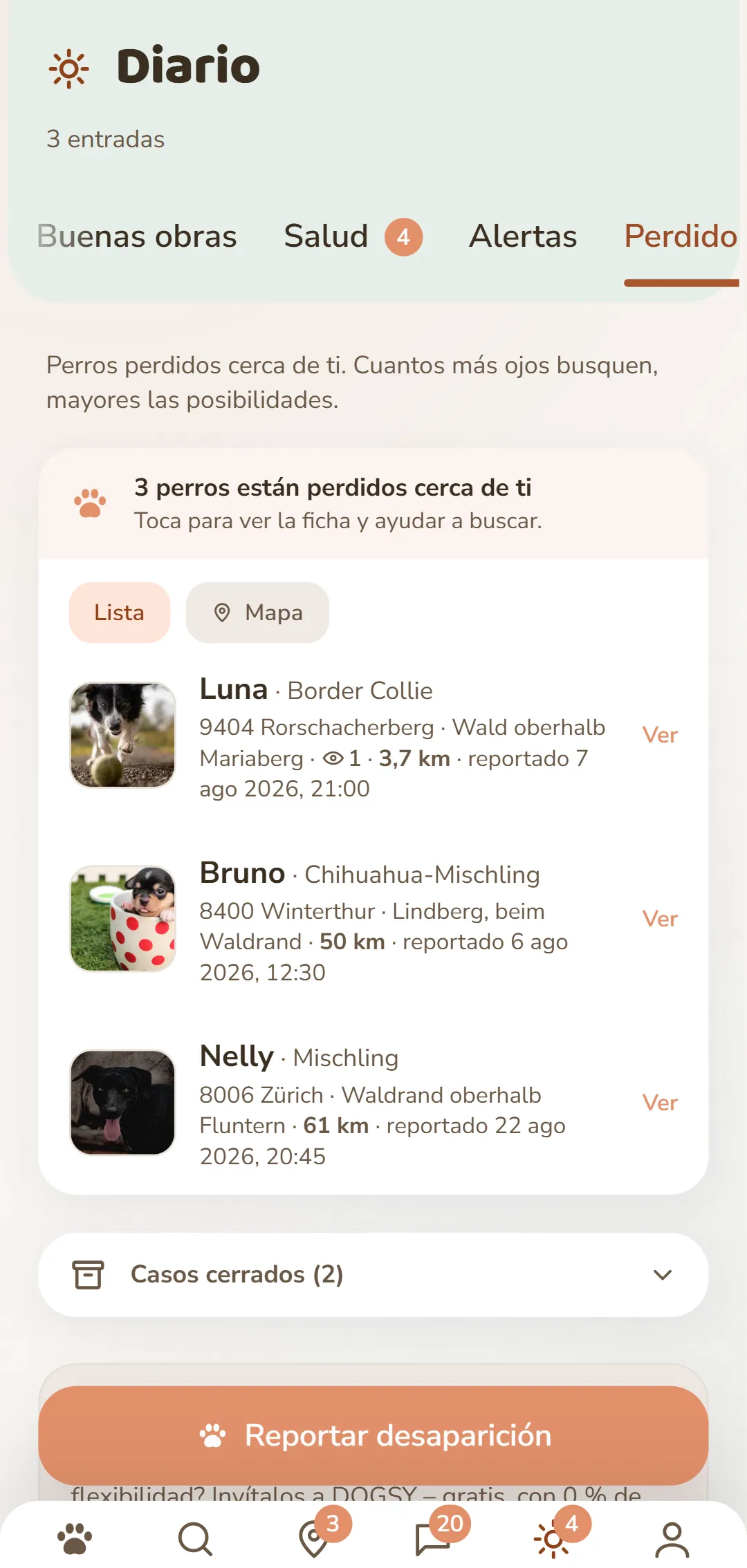 Perros perdidos cerca – con foto, lugar y hora