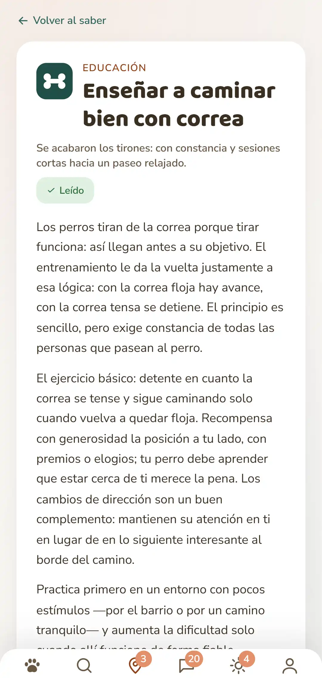 Captura de pantalla de la app DOGSY: un artículo de saber abierto. Arriba del todo, el camino de vuelta a la lista; debajo, las cuatro pestañas Guía, Eventos, Saber y Urgencias veterinarias. Siguen el símbolo de color de la categoría, la categoría en mayúsculas, el título, una entradilla corta y varios párrafos de texto. Abajo del todo, la barra de navegación de la app. La captura aparece en el idioma de esta página.