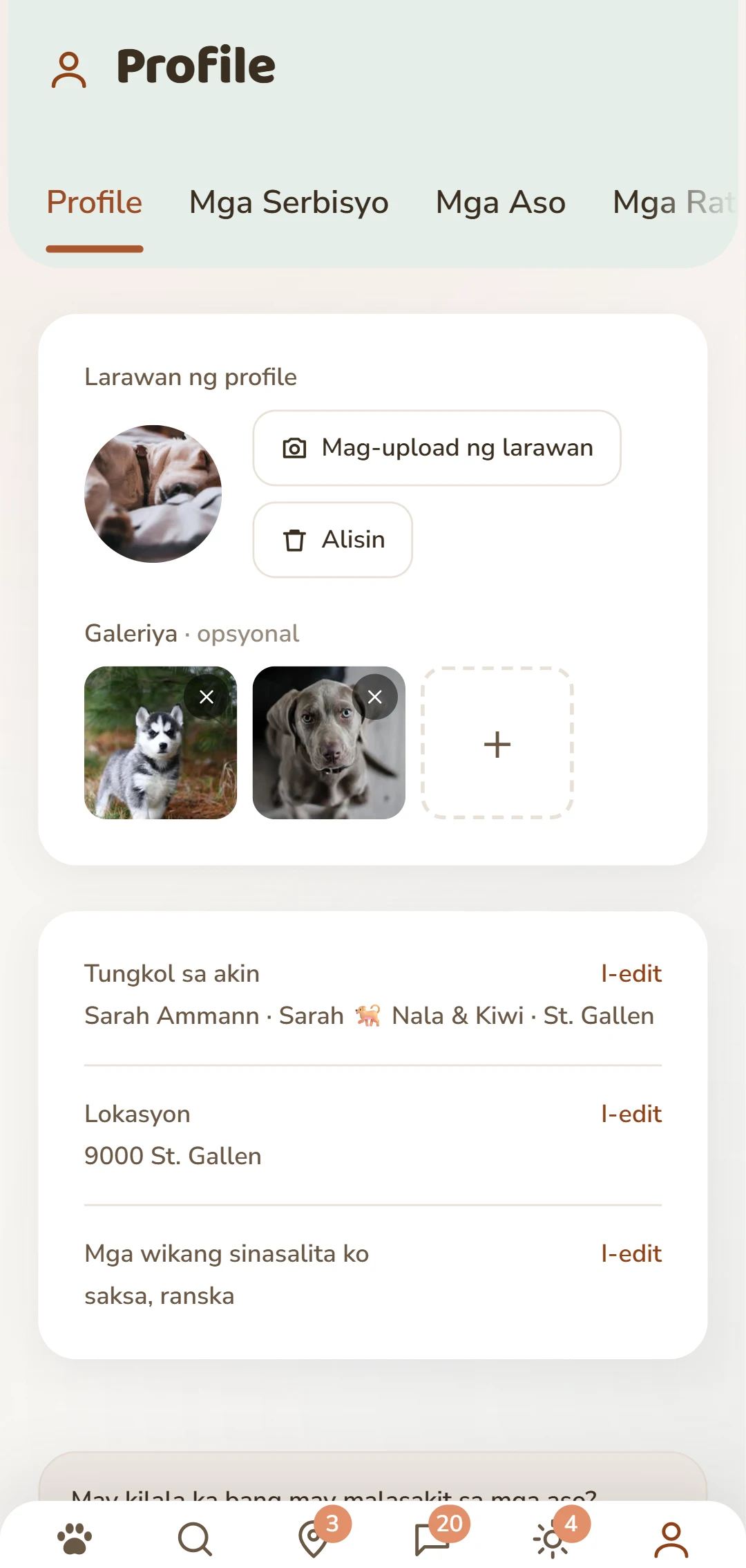 Ang sariling profile na may larawan, deskripsyon, at mga tab sa ibaba