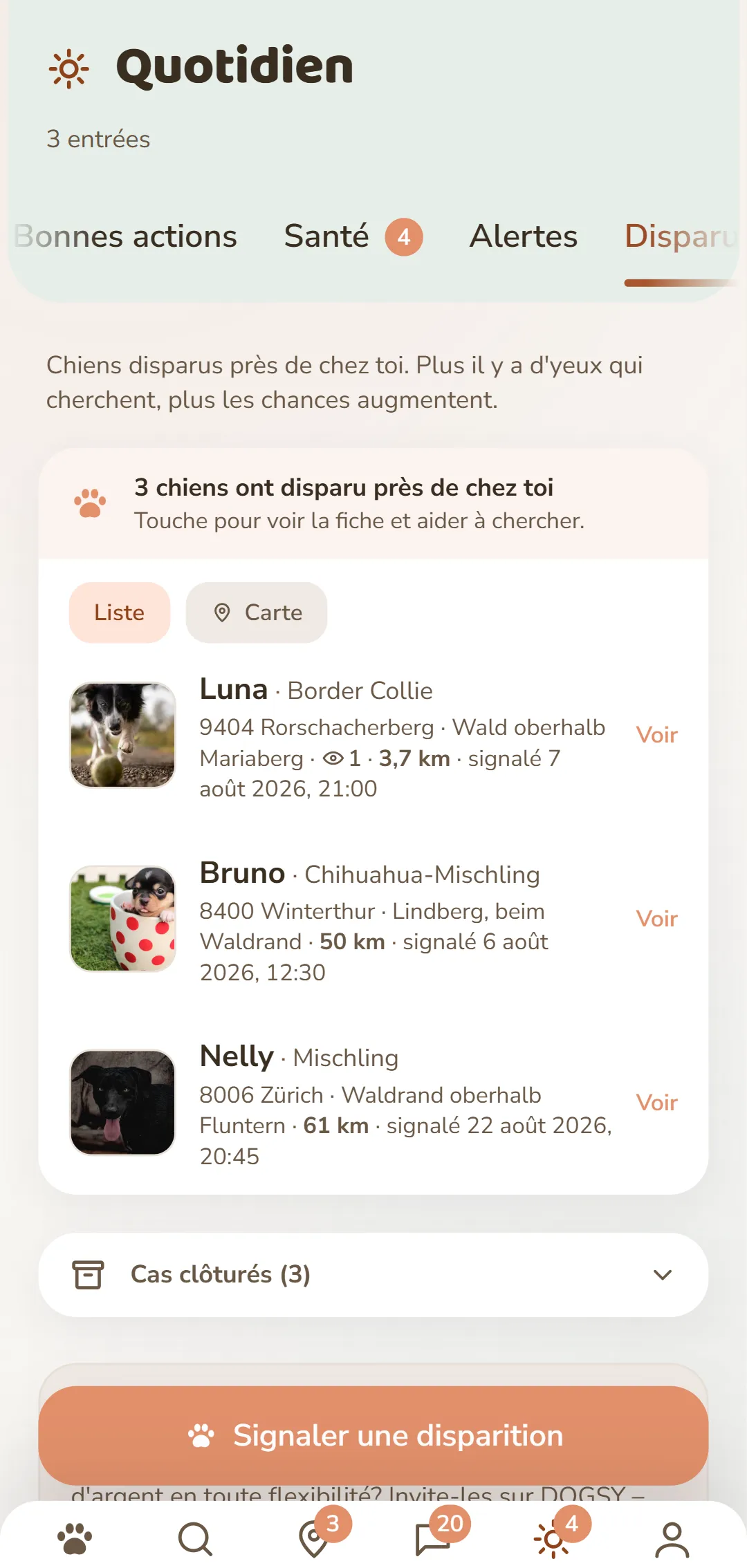 Chiens disparus dans les environs – avec photo, lieu et heure