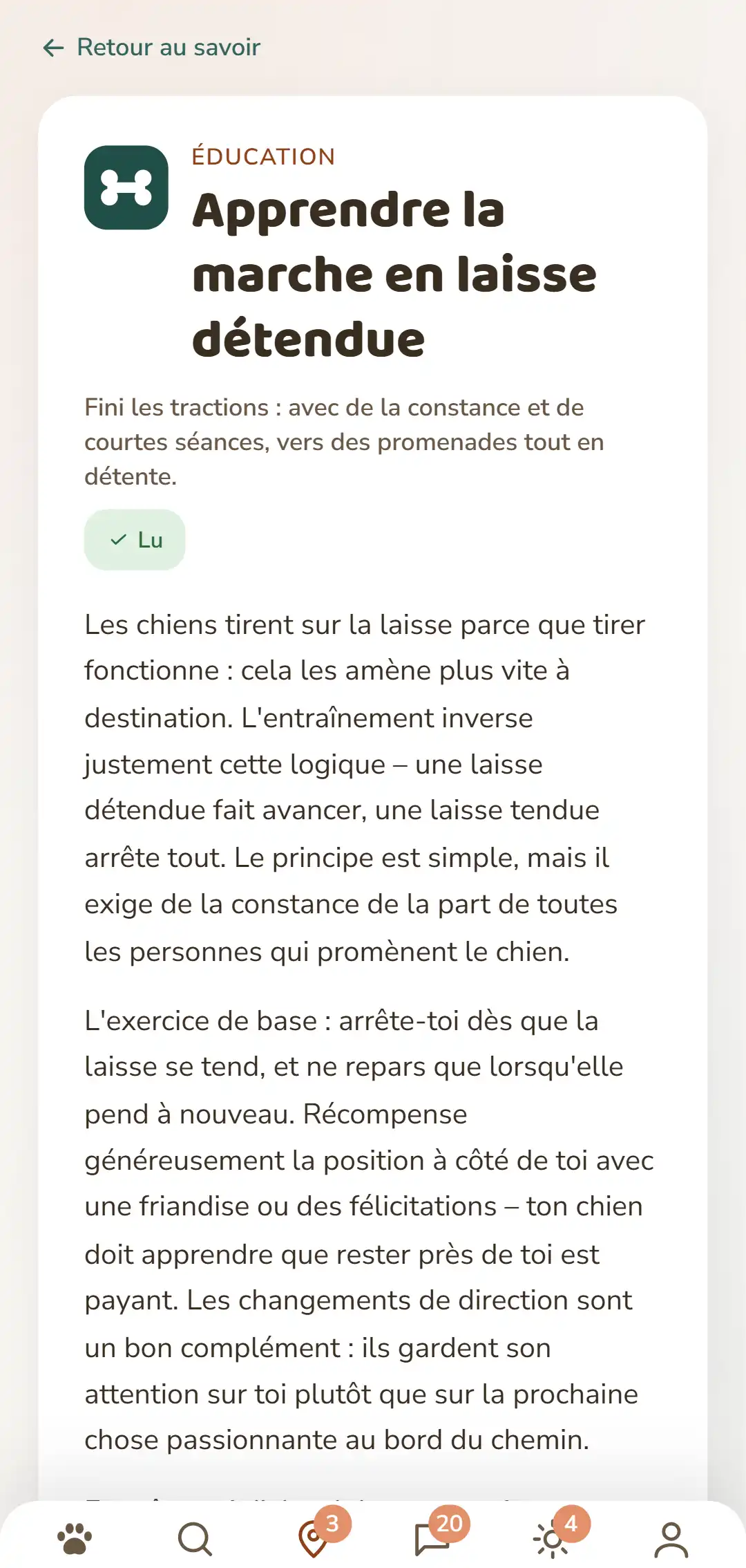 Capture d'écran de l'application DOGSY : un article Savoir ouvert. Tout en haut le retour vers la liste, puis les quatre onglets Guide, Événements, Savoir et Urgence animale. Suivent l'icône de catégorie colorée, la catégorie en majuscules, le titre, un court chapô et plusieurs paragraphes de texte. Tout en bas, la barre de navigation de l'application. La capture apparaît dans la langue de cette page.