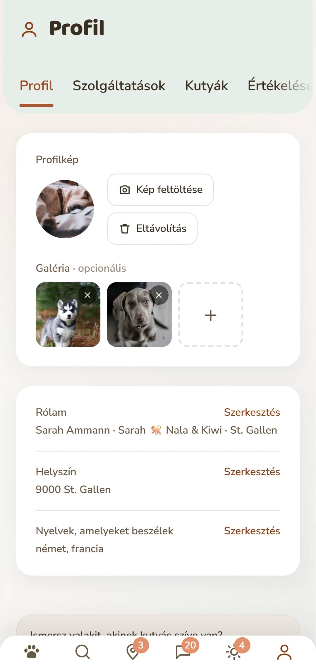 A saját profil fotóval, leírással és az alatta lévő fülekkel