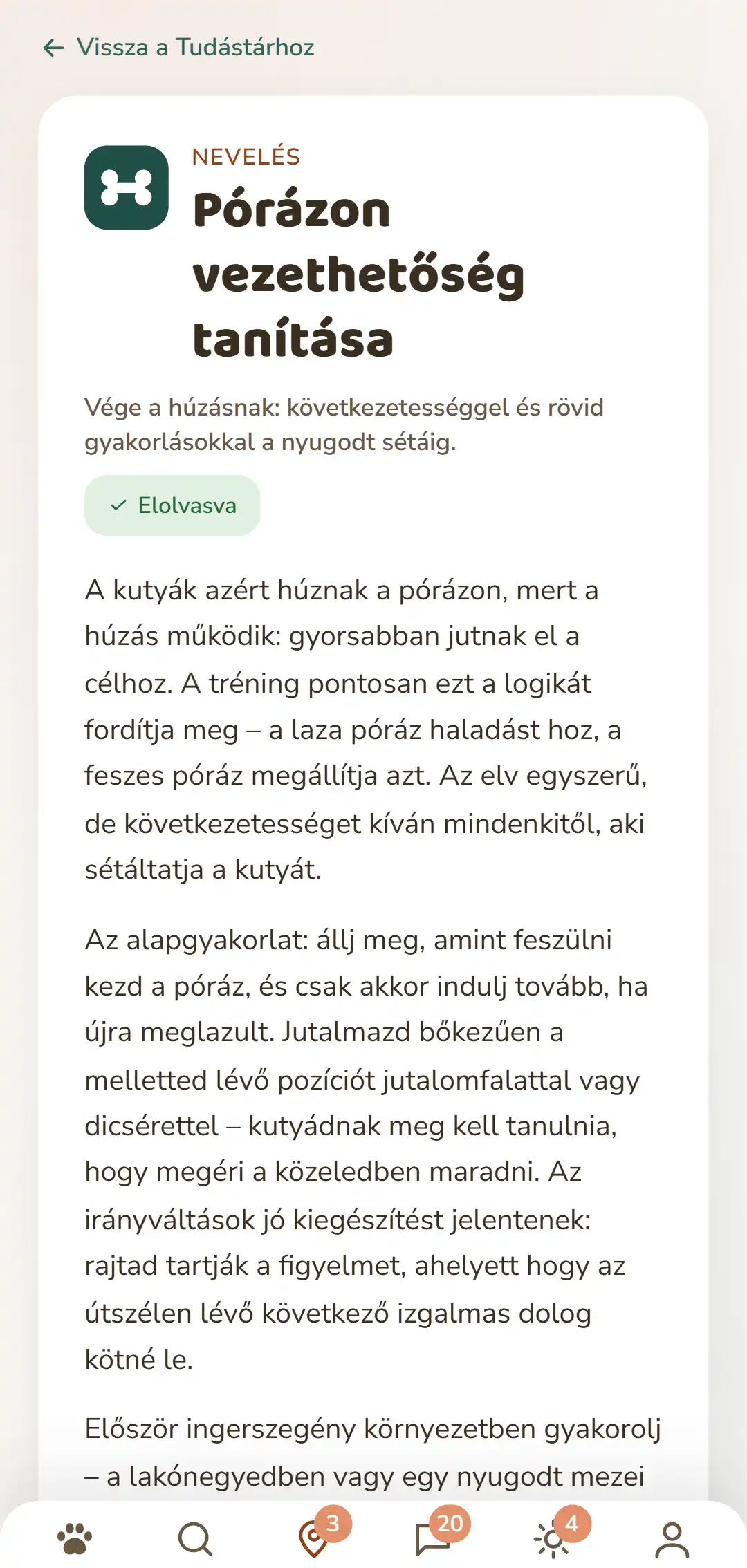 Képernyőfotó a DOGSY-alkalmazásból: egy megnyitott tudás-cikk. Legfelül a visszaút a listához, alatta a négy fül: Guide, Events, Tudás és Állati vészhelyzet. Ezután a színes rovatjel, a rovat neve nagybetűkkel, a cím, egy rövid felvezető és több bekezdésnyi folyószöveg. Legalul az alkalmazás navigációs sávja. A felvétel ennek az oldalnak a nyelvén jelenik meg.