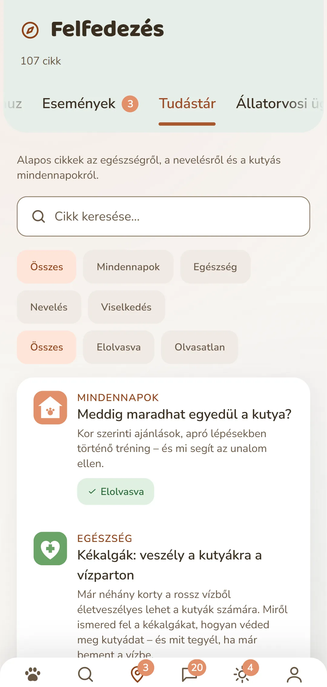 Képernyőfotó a DOGSY-alkalmazásból, a «Felfedezés» fülön: legfelül a cikkek száma, alatta a négy fül: Guide, Events, Tudás és Állati vészhelyzet. Ezt követi egy keresőmező és kerek rovatszűrők – Összes, Mindennapok, Egészség, Viselkedés, Nevelés. Alattuk a cikkek kártyaként: balra színes rovatjel, mellette a rovat neve nagybetűkkel, a cím és egy rövid felvezető. Legalul az alkalmazás navigációs sávja. A felvétel ennek az oldalnak a nyelvén jelenik meg.