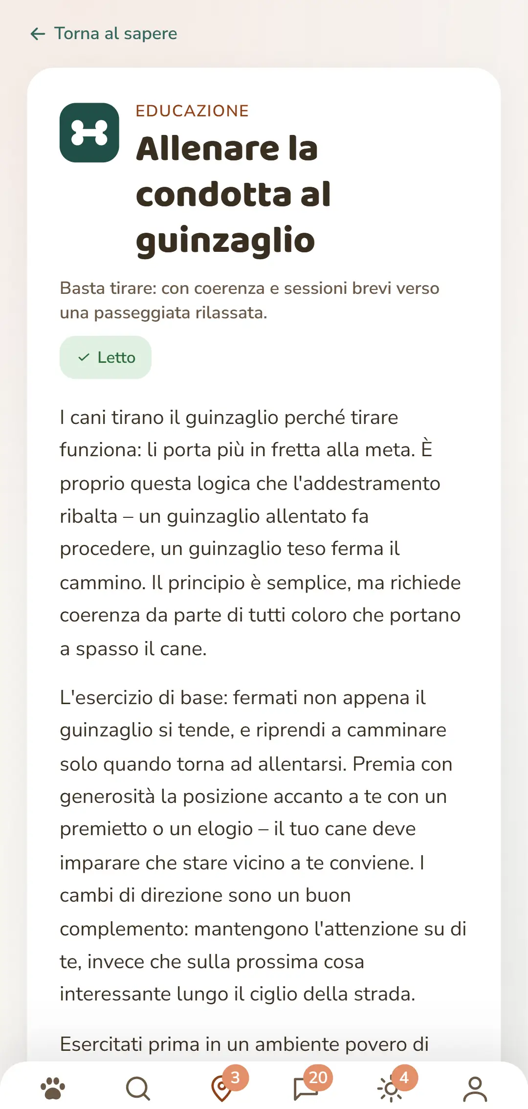 Schermata dell'app DOGSY: un articolo Sapere aperto. In alto il ritorno all'elenco, sotto le quattro schede Guide, Eventi, Sapere ed Emergenza animale. Seguono l'icona di categoria colorata, la categoria in maiuscolo, il titolo, una breve introduzione e diversi paragrafi di testo. In fondo la barra di navigazione dell'app. L'immagine appare nella lingua di questa pagina.