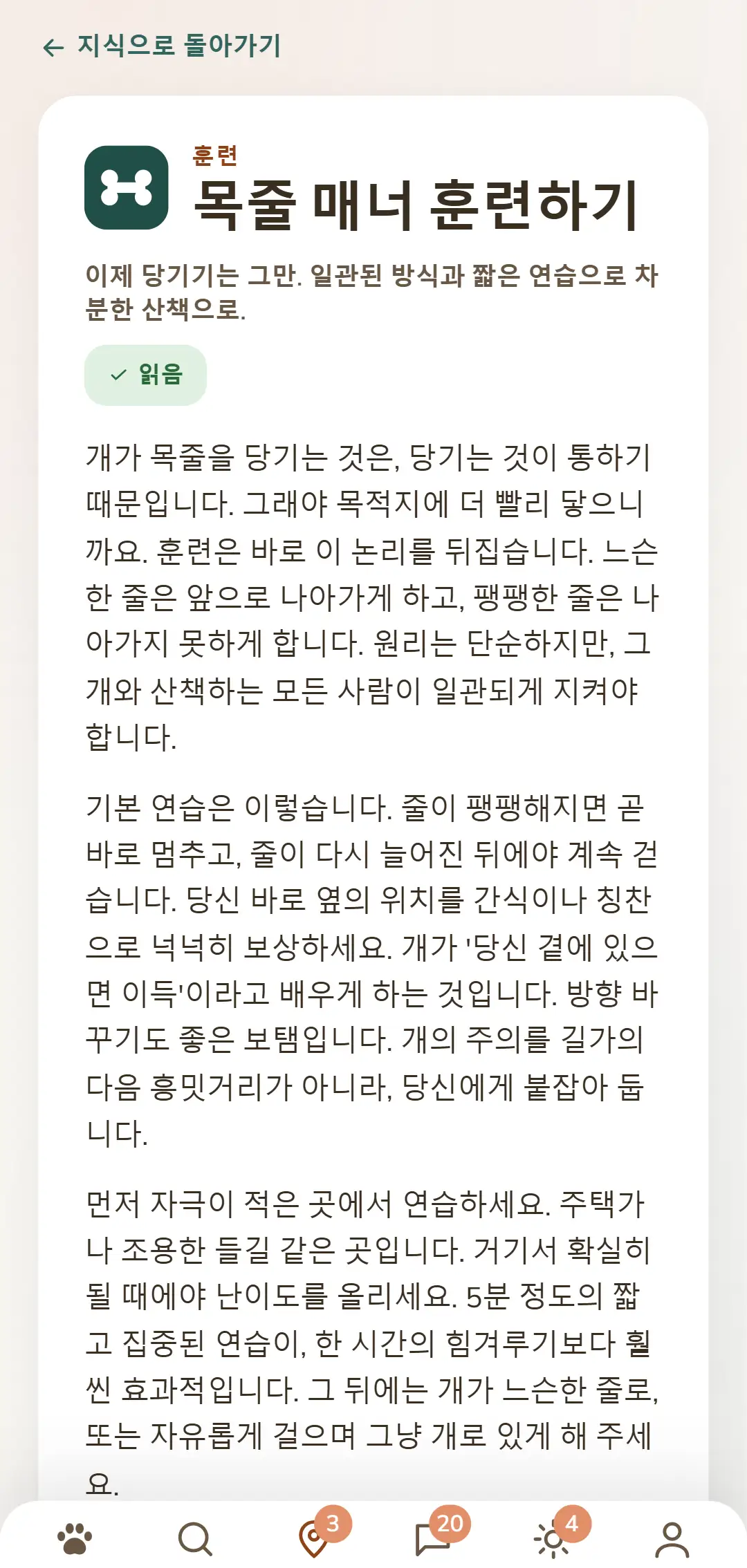 DOGSY 앱 화면 사진: 지식 글이 열려 있는 모습이에요. 맨 위에는 목록으로 돌아가는 길, 그 아래에는 Guide, Events, 지식, 반려동물 응급 네 개의 탭이 있어요. 이어서 색깔이 있는 분류 기호, 대문자로 쓴 분류 이름, 제목, 짧은 소개글, 그리고 본문 여러 단락이 나와요. 맨 아래에는 앱의 내비게이션 바가 있어요. 화면은 이 페이지의 언어로 표시돼요.