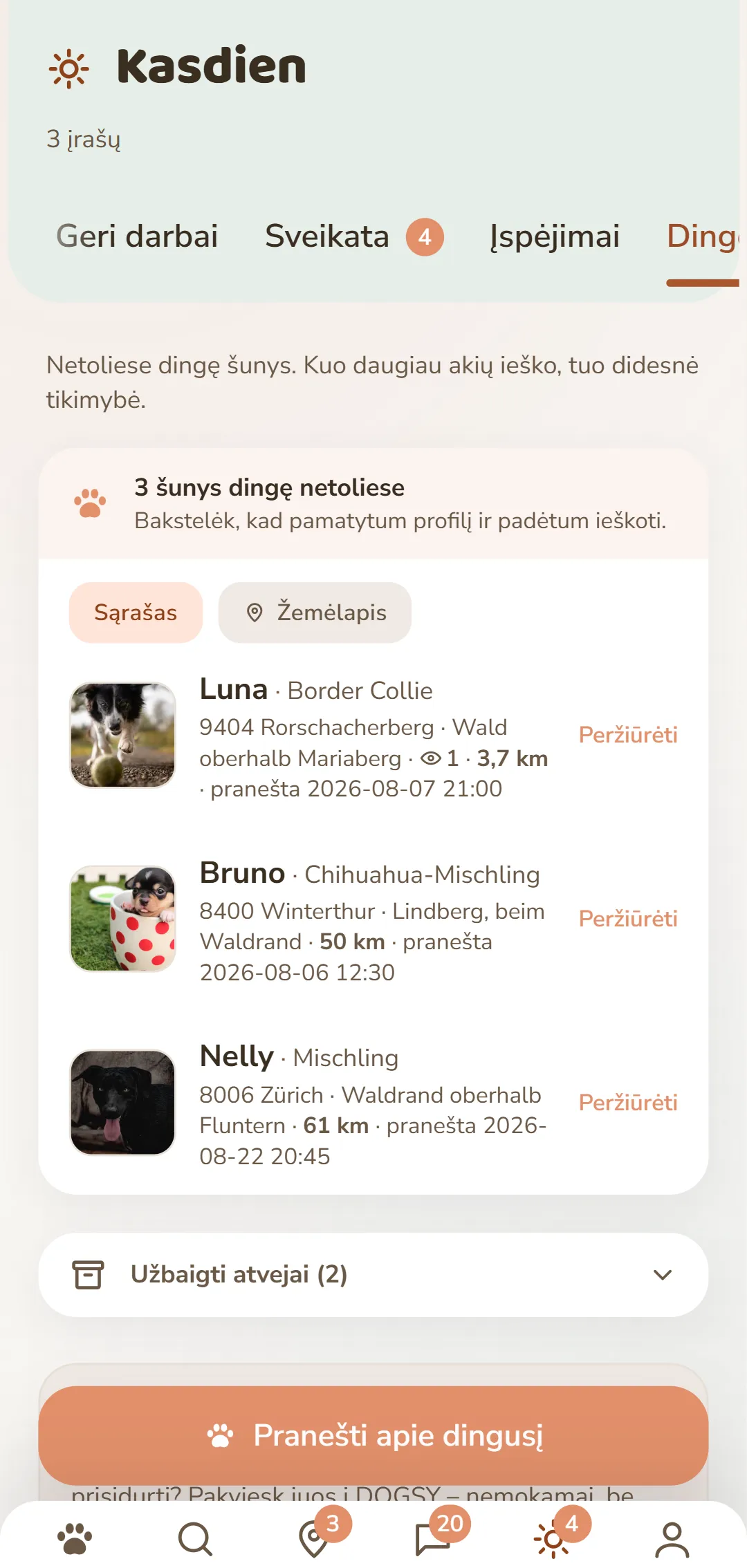 Dingę šunys netoliese – su nuotrauka, vieta ir laiku