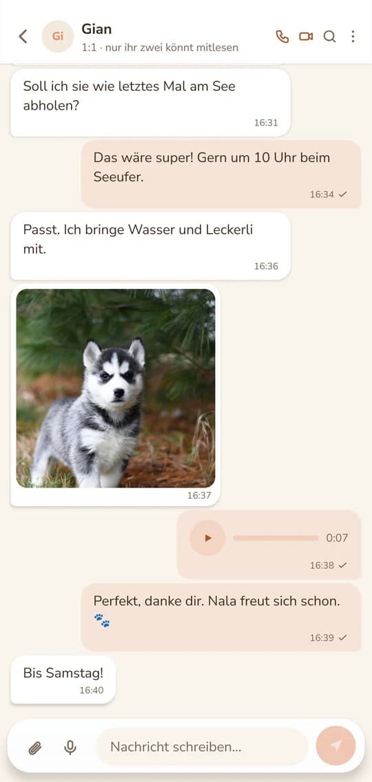 Ein offener Chat: Text, Fotos und Sprachnachrichten in einem Verlauf