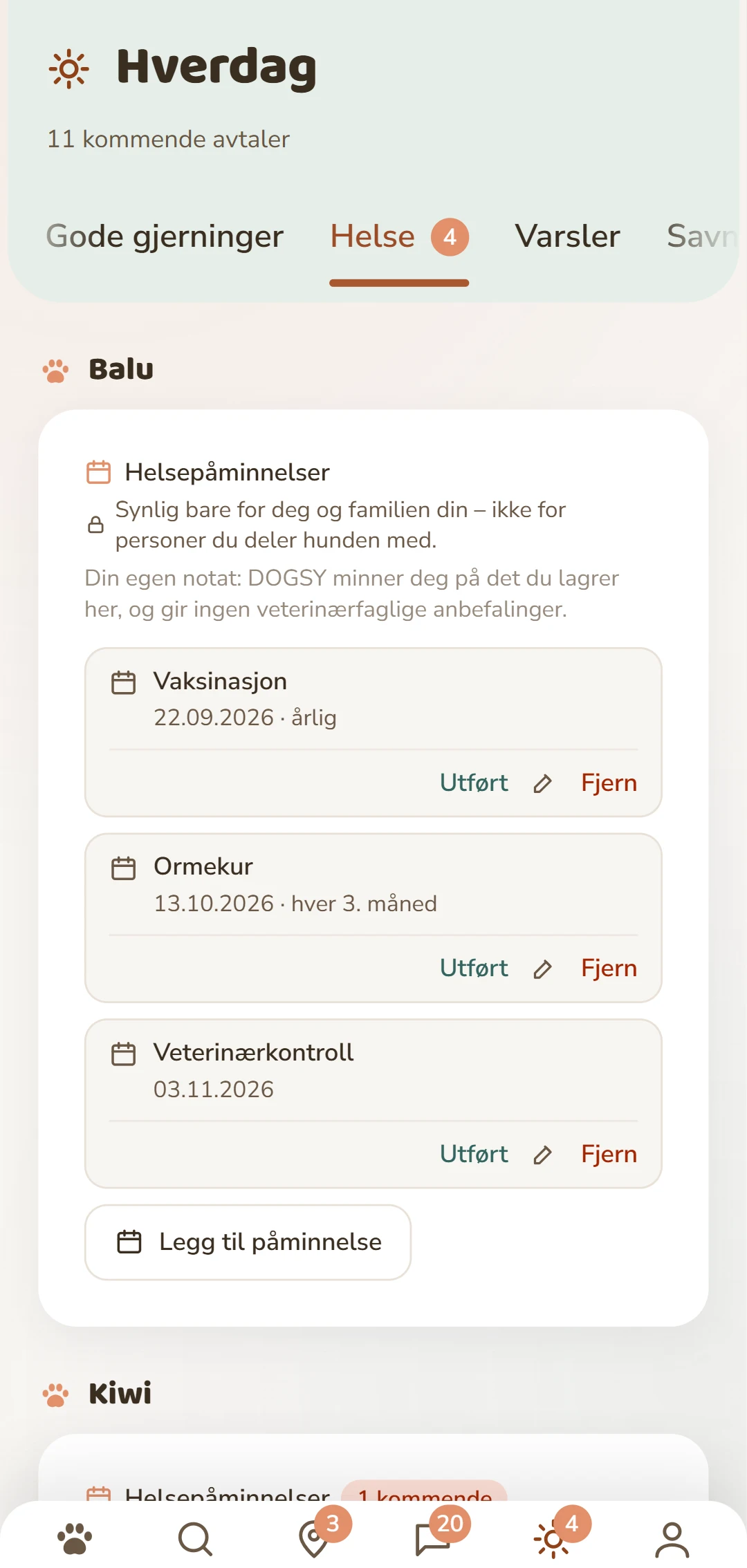 Helseavtaler per hund: vaksinasjon, ormekur, flåttbeskyttelse og mer