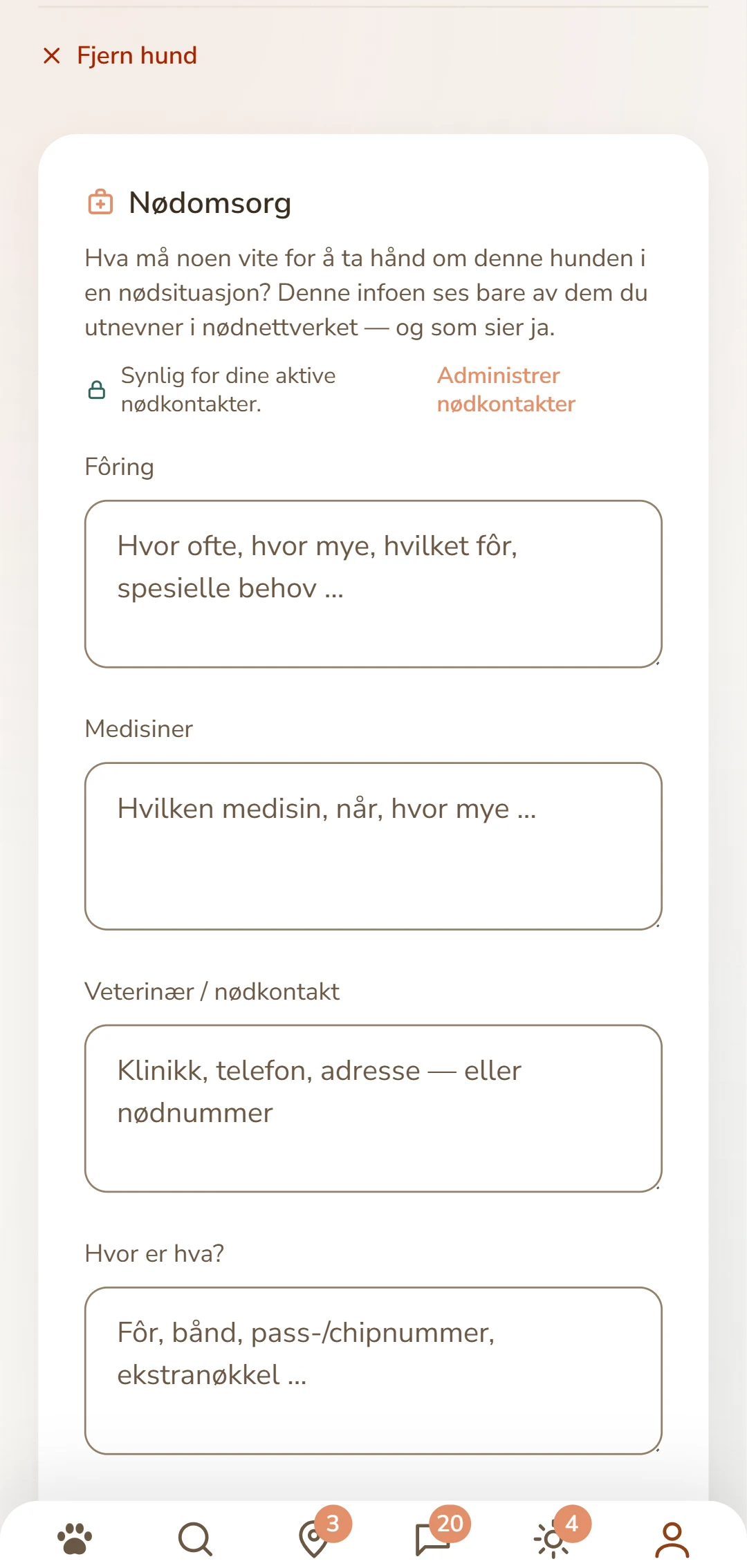 Omsorgsarket til en hund: fôring, medisiner, veterinær