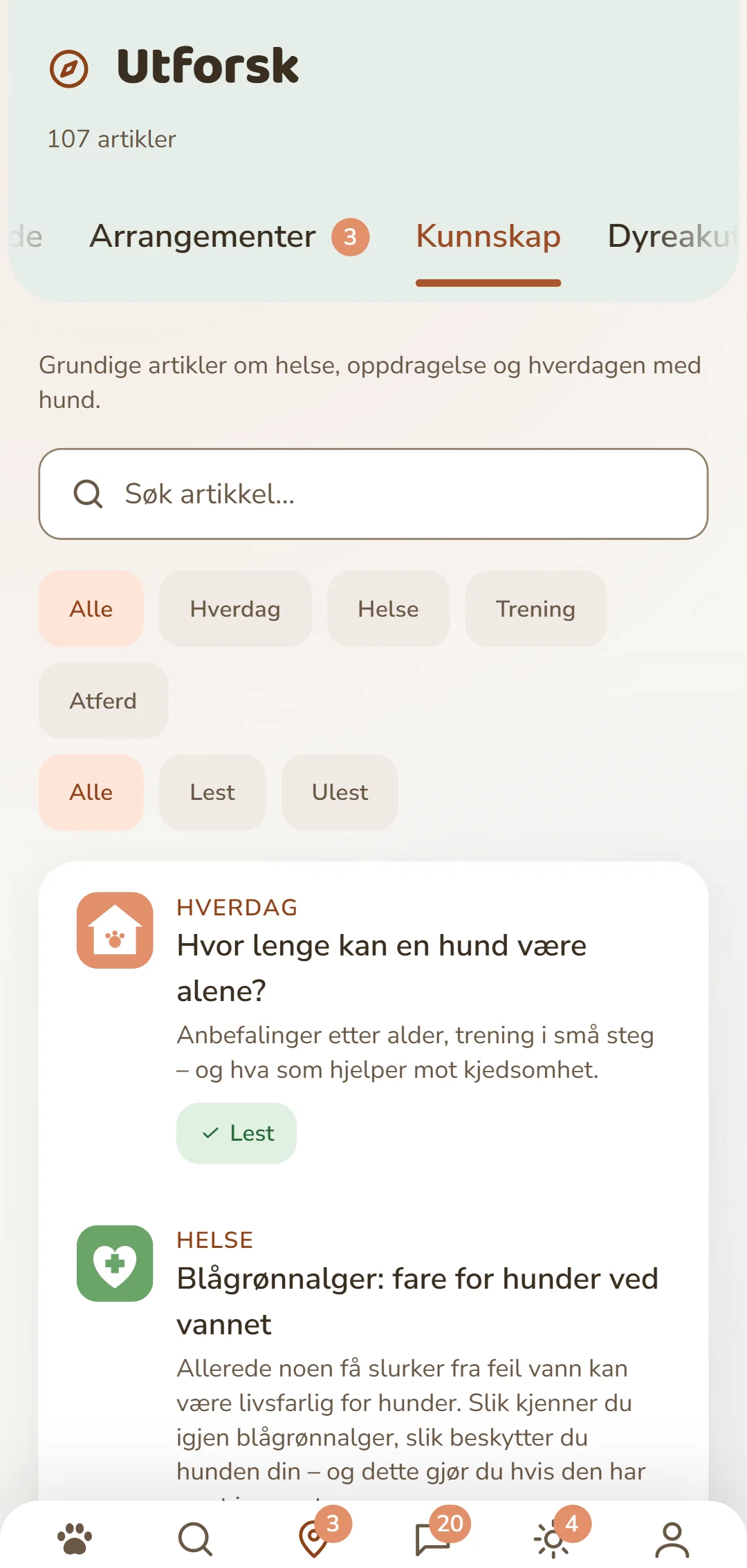 Skjermbilde av DOGSY-appen i fanen «Oppdag»: øverst antall artikler, under det de fire fanene Guide, Events, Kunnskap og Dyrenødhjelp. Så følger et søkefelt og runde filtre for kategoriene – Alle, Hverdag, Helse, Atferd, Oppdragelse. Under det artiklene som kort: til venstre et farget kategori-ikon, ved siden av kategorien med store bokstaver, tittelen og en kort ingress. Helt nederst navigasjonslinja i appen. Skjermbildet vises på språket til denne siden.
