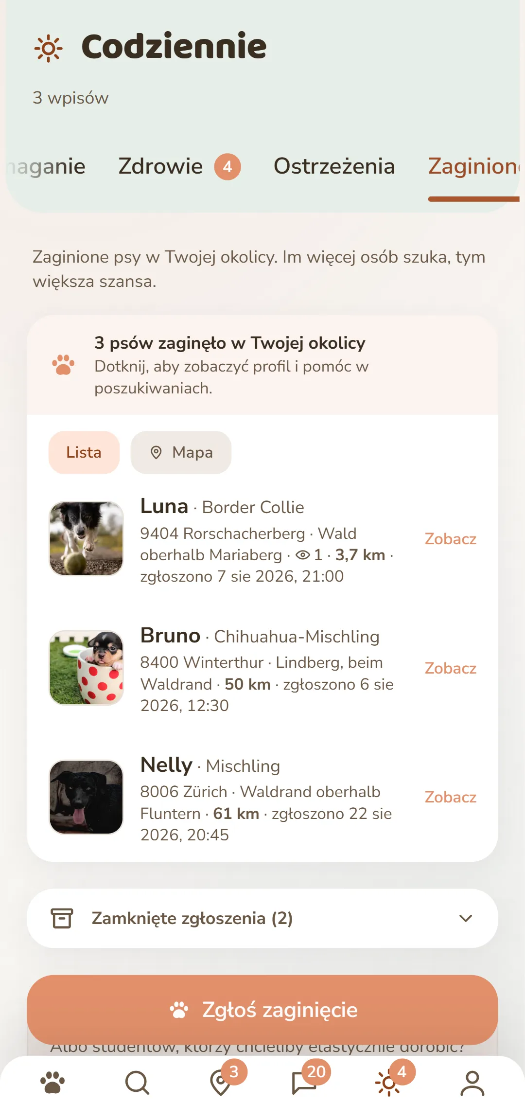 Zaginione psy w okolicy – ze zdjęciem, miejscem i godziną