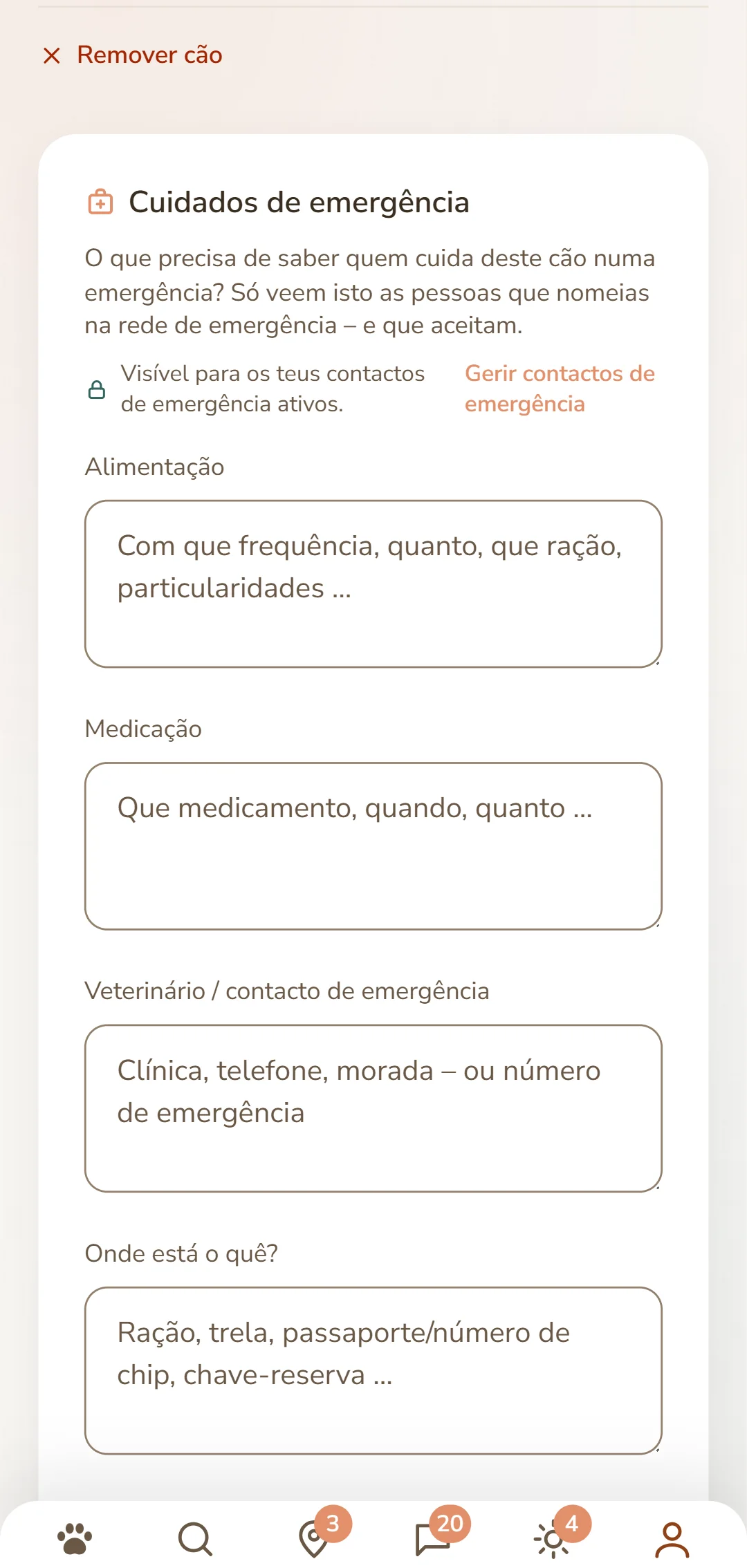 A ficha de cuidados de um cão: alimentação, medicamentos, veterinário