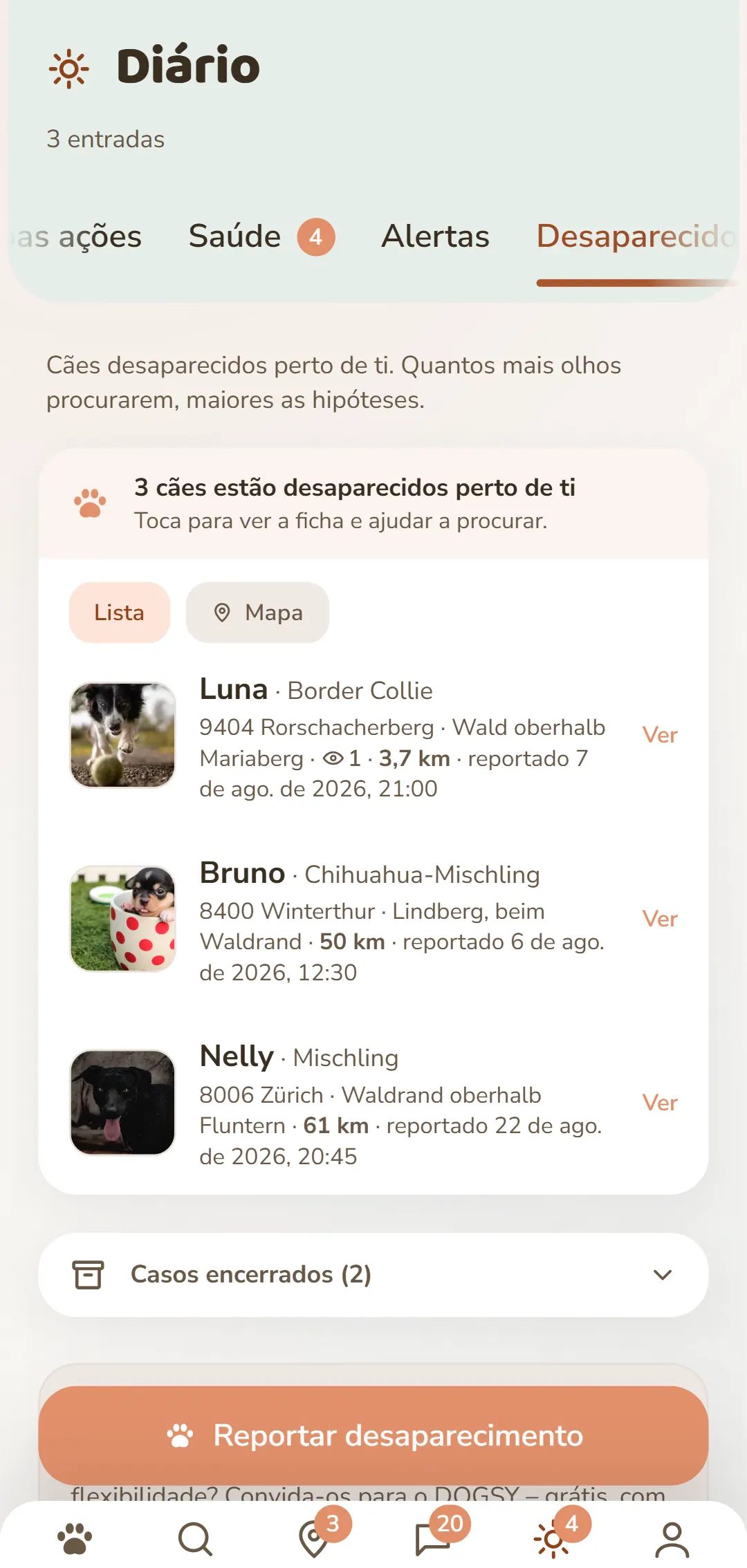 Cães desaparecidos nas proximidades – com foto, local e hora