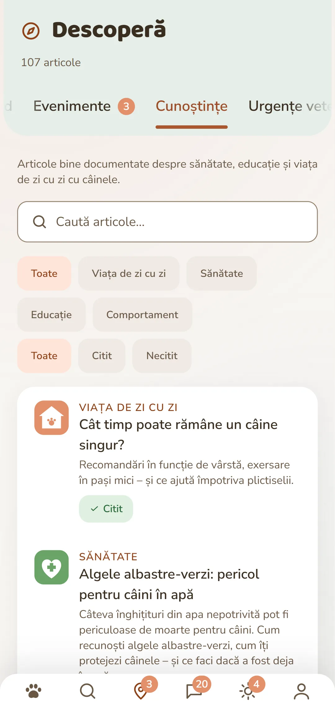 Captură de ecran din aplicația DOGSY, în fila «Descoperă»: sus de tot numărul de articole, dedesubt cele patru file Guide, Events, Cunoștințe și Urgențe animale. Urmează un câmp de căutare și filtre rotunde pentru rubrici – Toate, Viața de zi cu zi, Sănătate, Comportament, Educație. Dedesubt articolele sub formă de carduri: în stânga un simbol colorat al rubricii, alături rubrica cu majuscule, titlul și o scurtă introducere. Jos de tot bara de navigare a aplicației. Captura apare în limba acestei pagini.