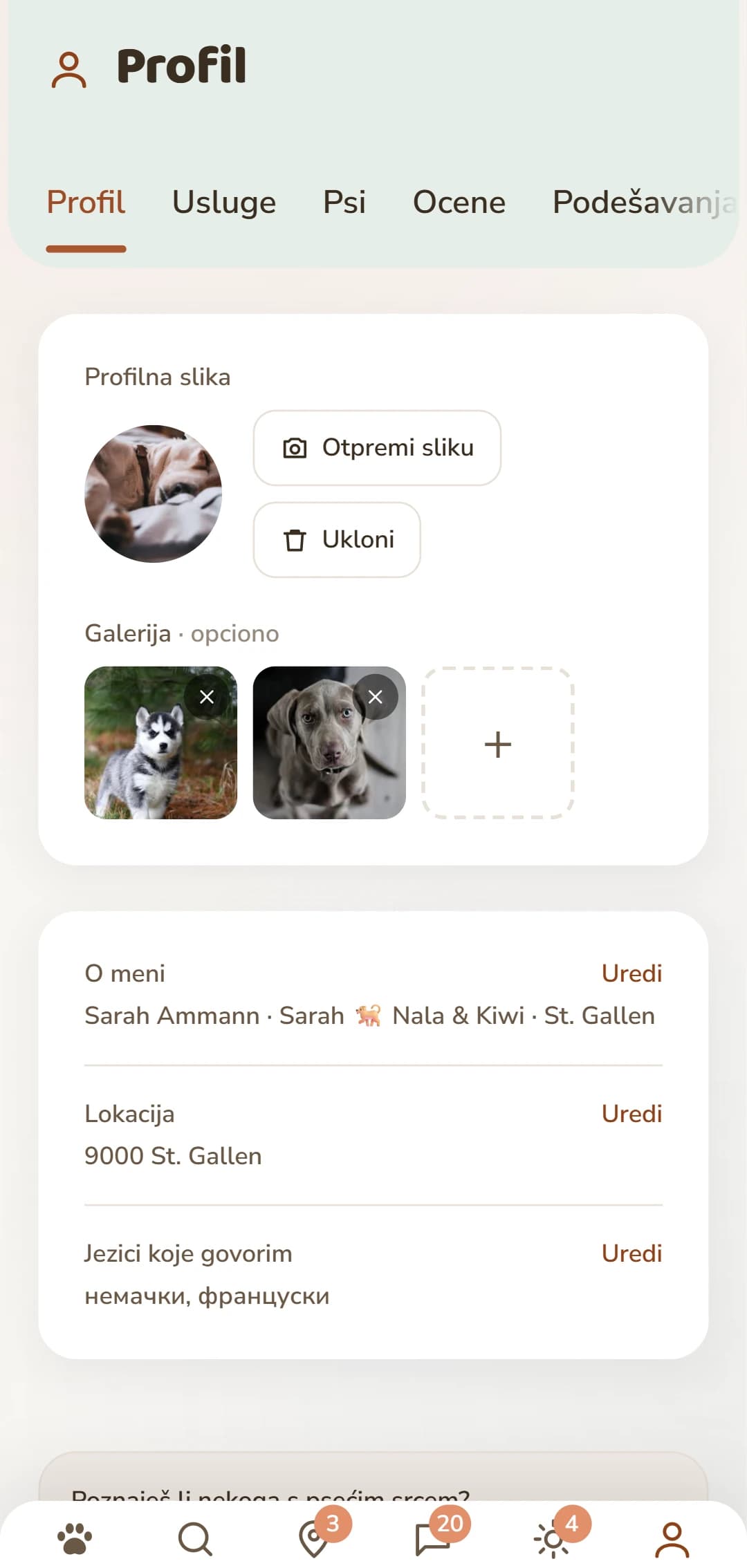 Sopstveni profil sa slikom, opisom i karticama ispod