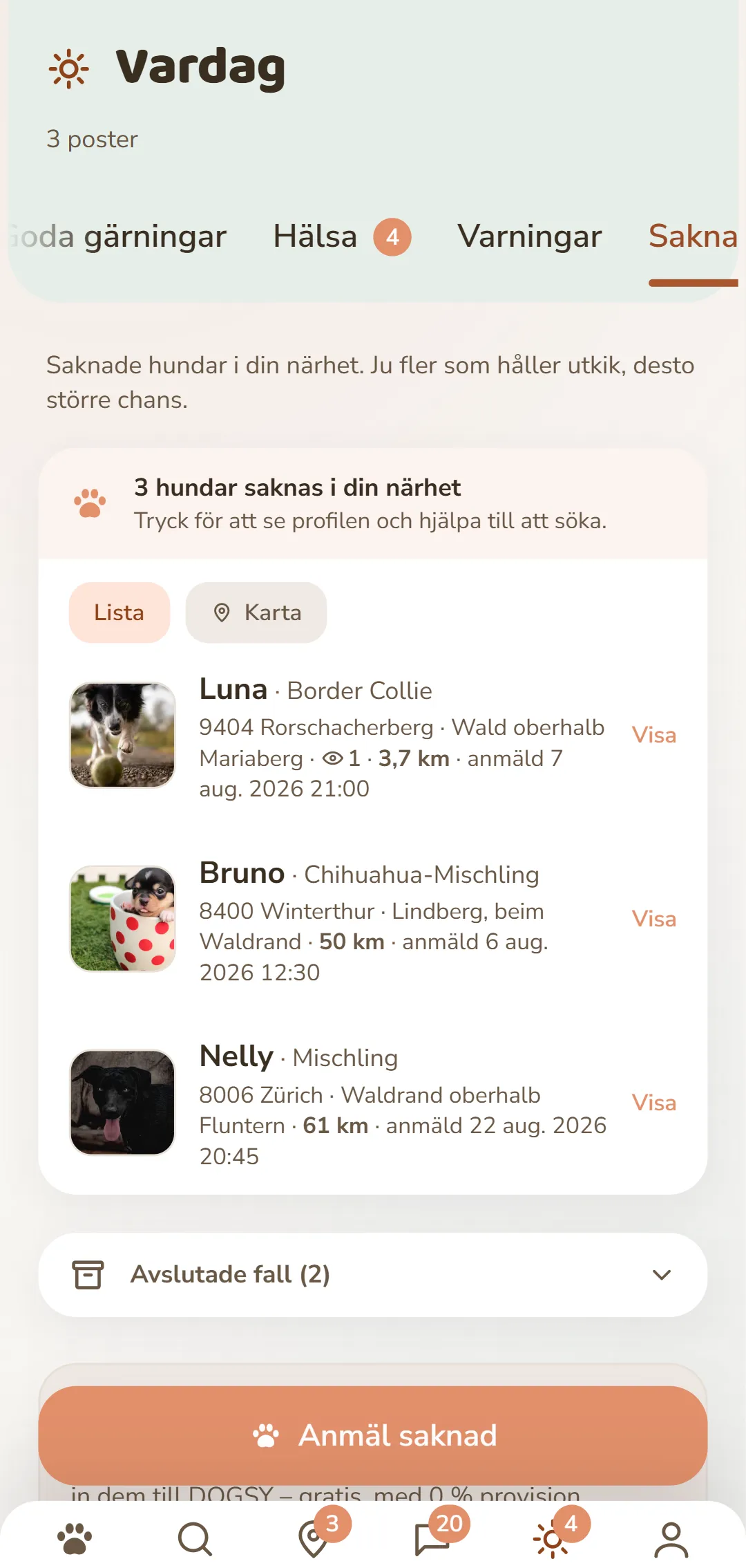 Försvunna hundar i närheten – med foto, plats och tidpunkt