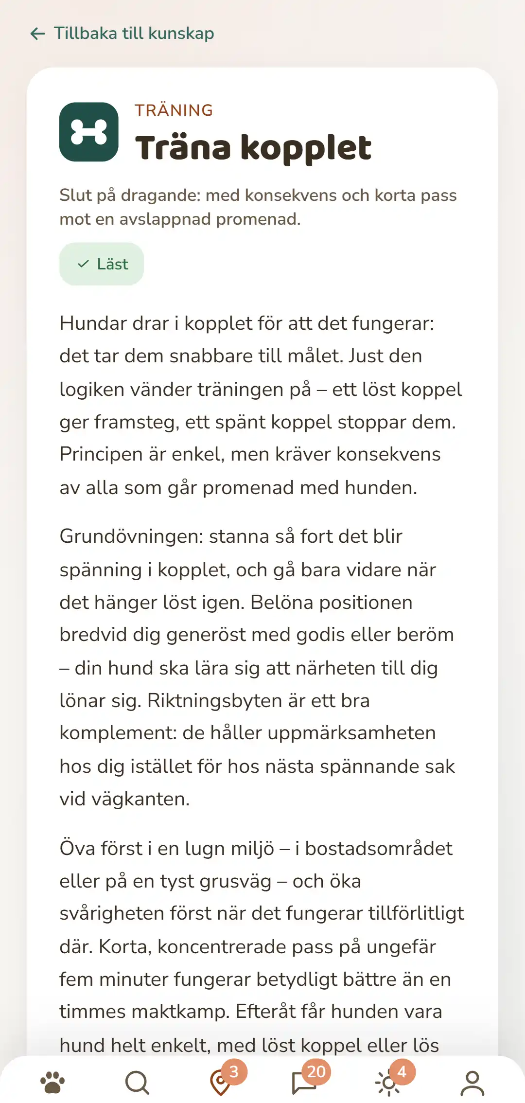 Skärmbild av DOGSY-appen: en öppnad kunskapsartikel. Överst vägen tillbaka till listan, under den de fyra flikarna Guide, Events, Kunskap och Djurnödfall. Sedan följer den färgade kategorisymbolen, kategorin i versaler, titeln, en kort ingress och flera stycken brödtext. Allra längst ned appens navigeringsrad. Bilden visas på den här sidans språk.