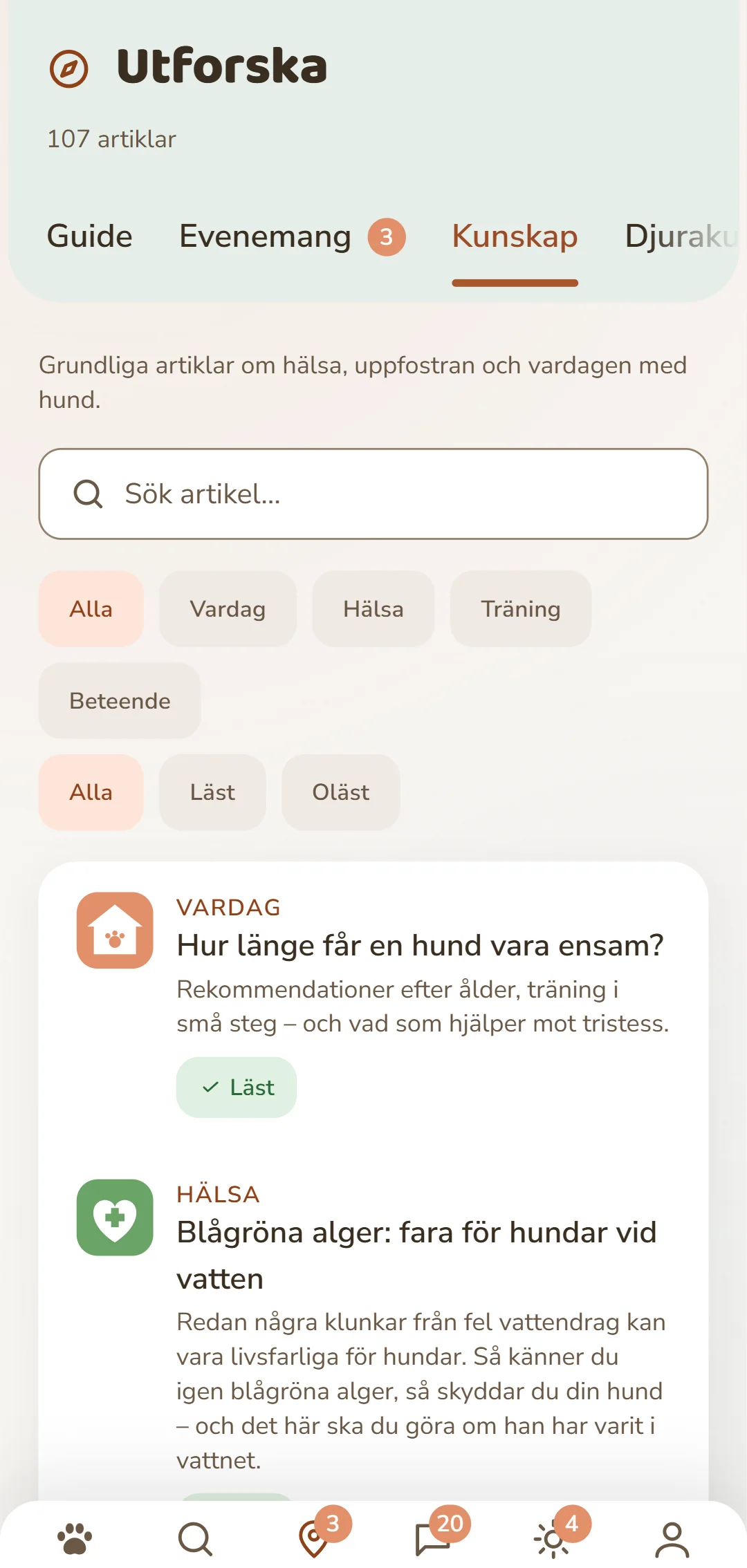 Skärmbild av DOGSY-appen i fliken «Upptäck»: överst antalet artiklar, under den de fyra flikarna Guide, Events, Kunskap och Djurnödfall. Sedan följer ett sökfält och runda filter för kategorierna – Alla, Vardag, Hälsa, Beteende, Uppfostran. Under dem artiklarna som kort: till vänster en färgad kategorisymbol, bredvid den kategorin i versaler, titeln och en kort ingress. Allra längst ned appens navigeringsrad. Bilden visas på den här sidans språk.