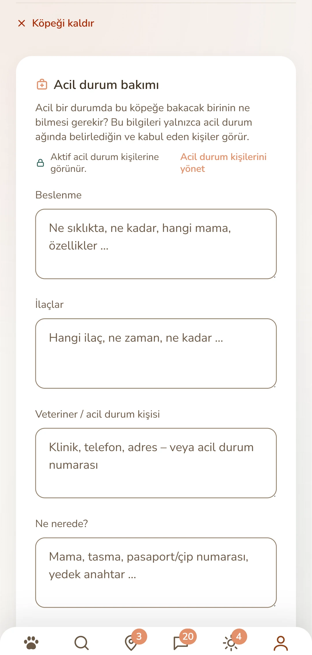 Bir köpeğin bakım föyü: beslenme, ilaçlar, veteriner