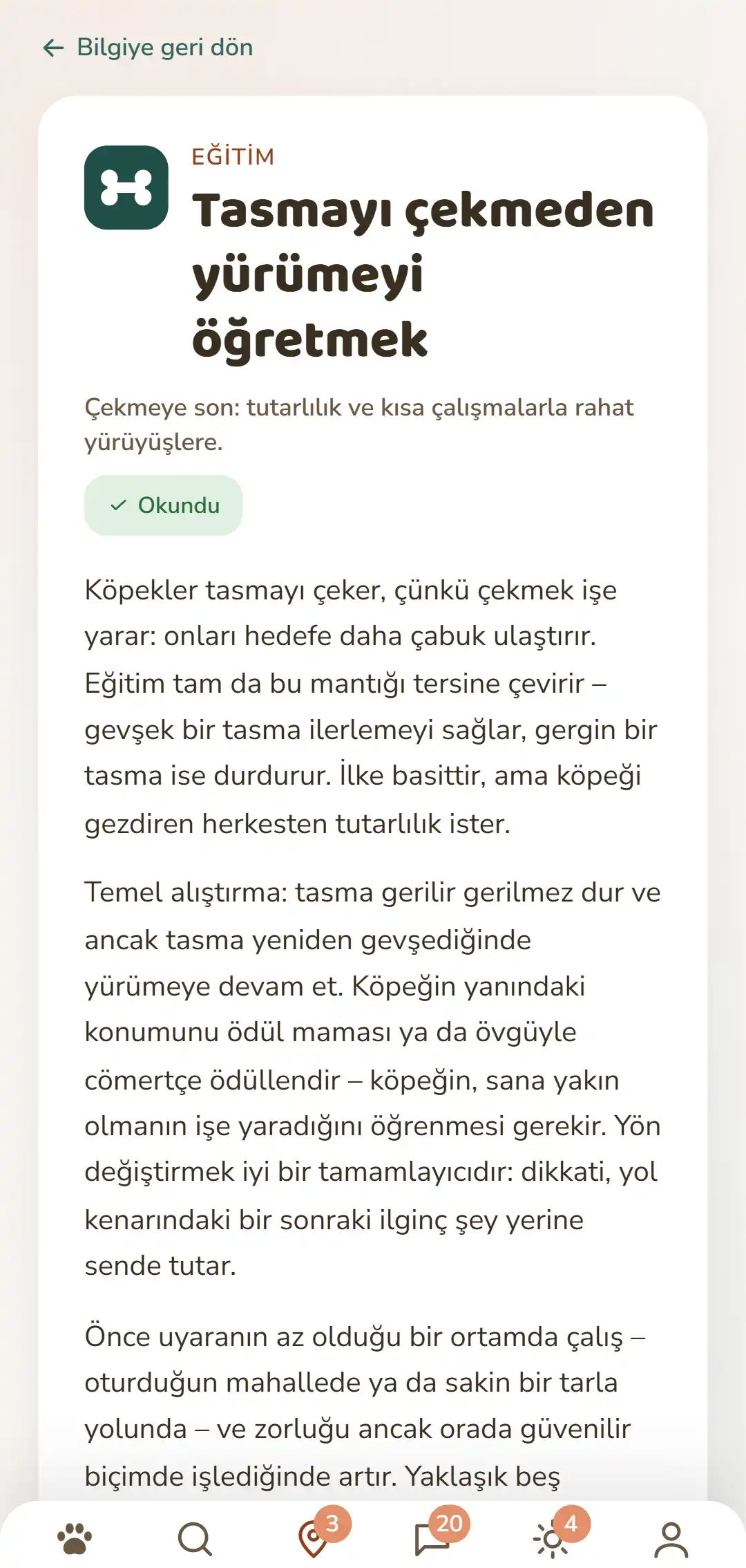 DOGSY uygulamasından ekran görüntüsü: açılmış bir bilgi yazısı. En üstte listeye dönüş yolu, altında dört sekme: Guide, Events, Bilgi ve Hayvan acil durumu. Ardından renkli kategori simgesi, büyük harflerle kategori adı, başlık, kısa bir giriş ve birkaç paragraf metin geliyor. En altta uygulamanın gezinme çubuğu var. Ekran görüntüsü bu sayfanın dilinde görünür.