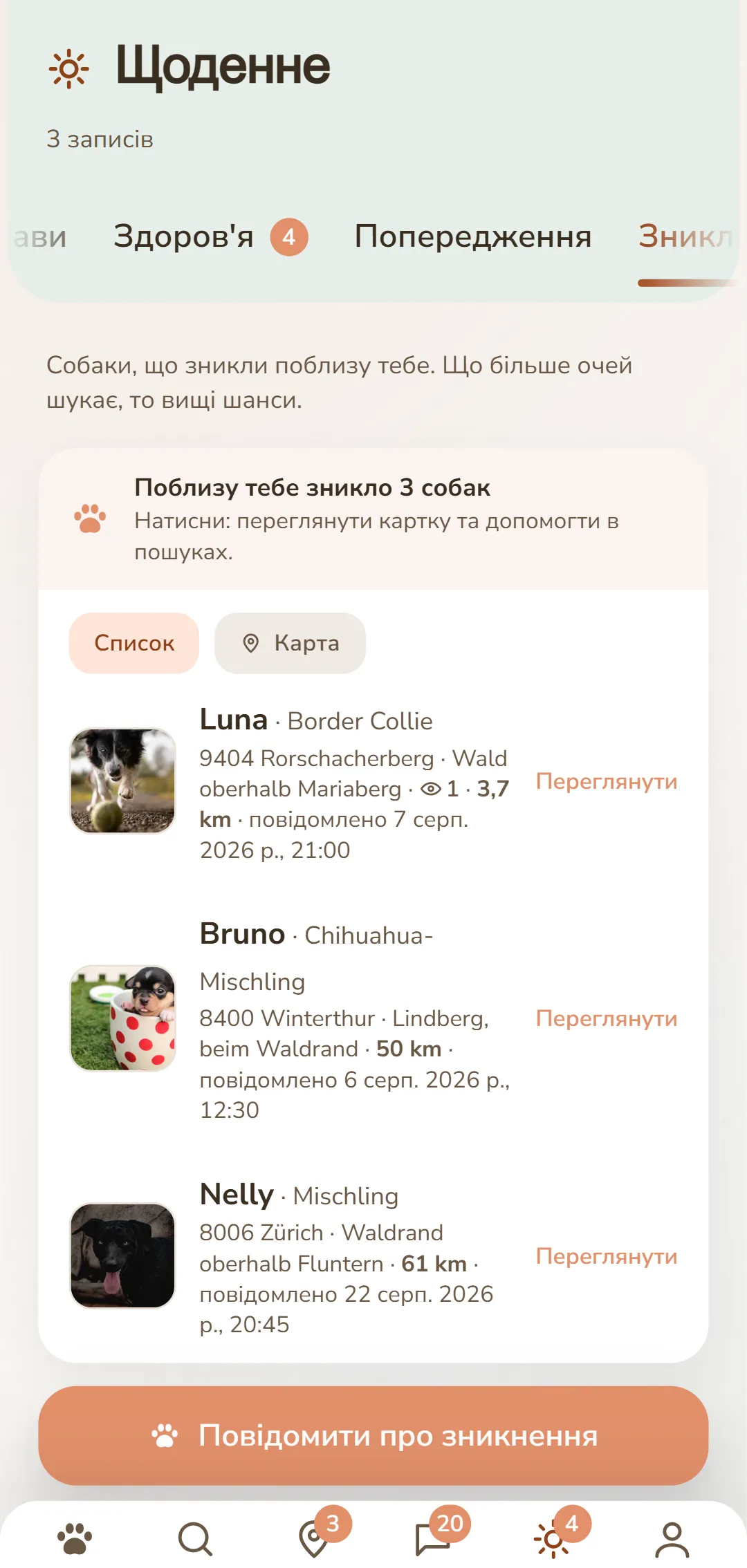 Зниклі собаки поблизу – з фото, місцем і часом