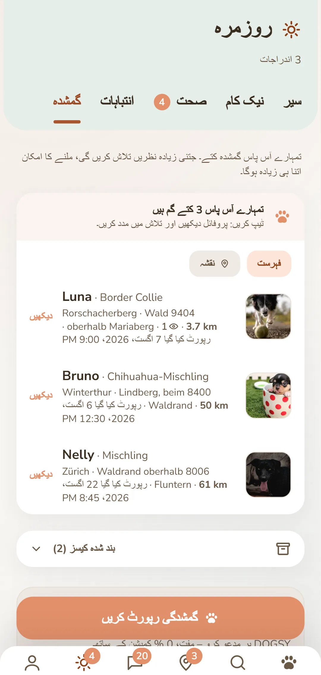 قریب کے لاپتا کتے – تصویر، جگہ اور وقت کے ساتھ