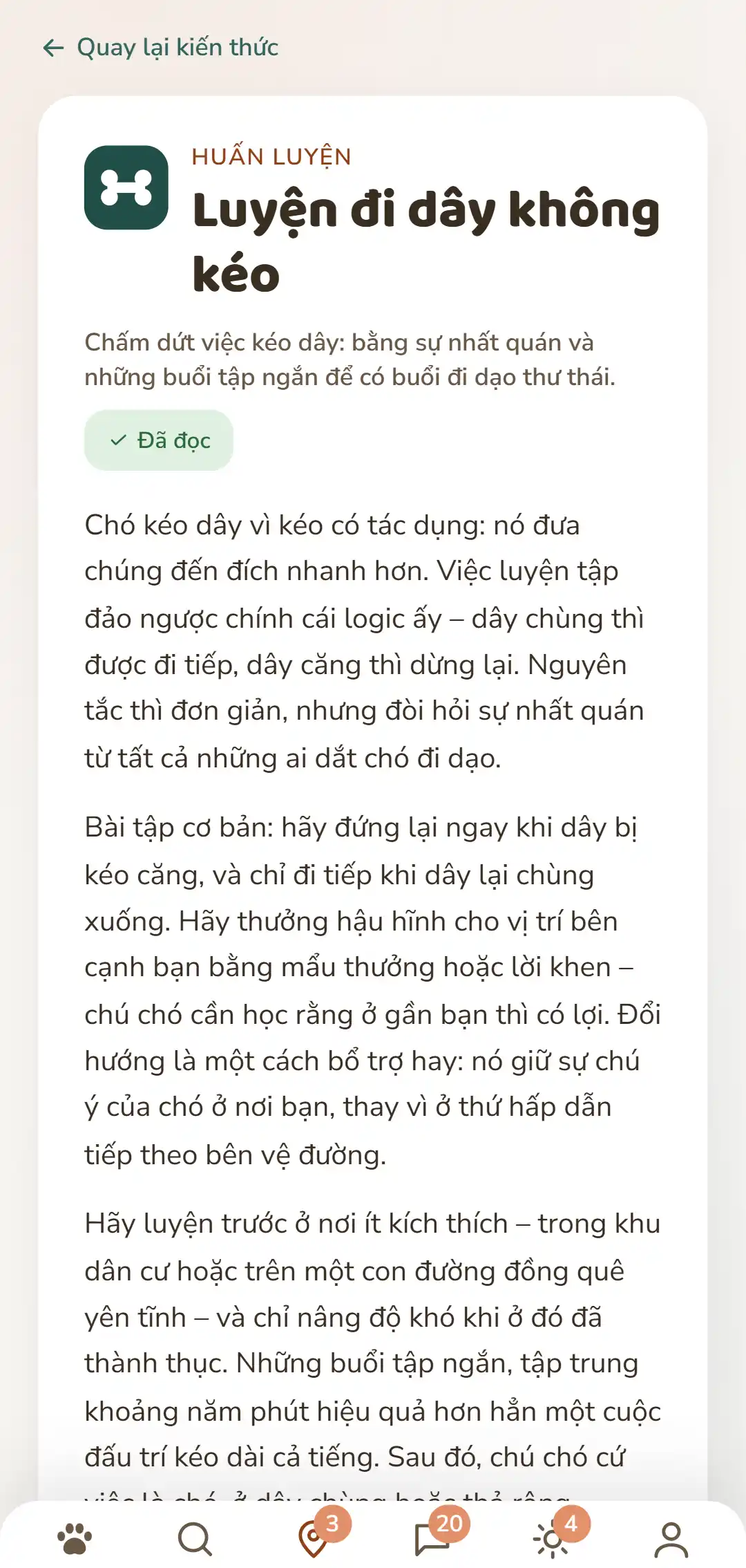 Ảnh chụp màn hình của ứng dụng DOGSY: một bài viết kiến thức đang mở. Trên cùng là đường quay lại danh sách, bên dưới là bốn thẻ Guide, Events, Kiến thức và Cấp cứu thú cưng. Tiếp theo là biểu tượng chuyên mục có màu, tên chuyên mục viết hoa, tiêu đề, một đoạn dẫn ngắn và nhiều đoạn nội dung. Dưới cùng là thanh điều hướng của ứng dụng. Ảnh chụp màn hình hiển thị bằng ngôn ngữ của trang này.