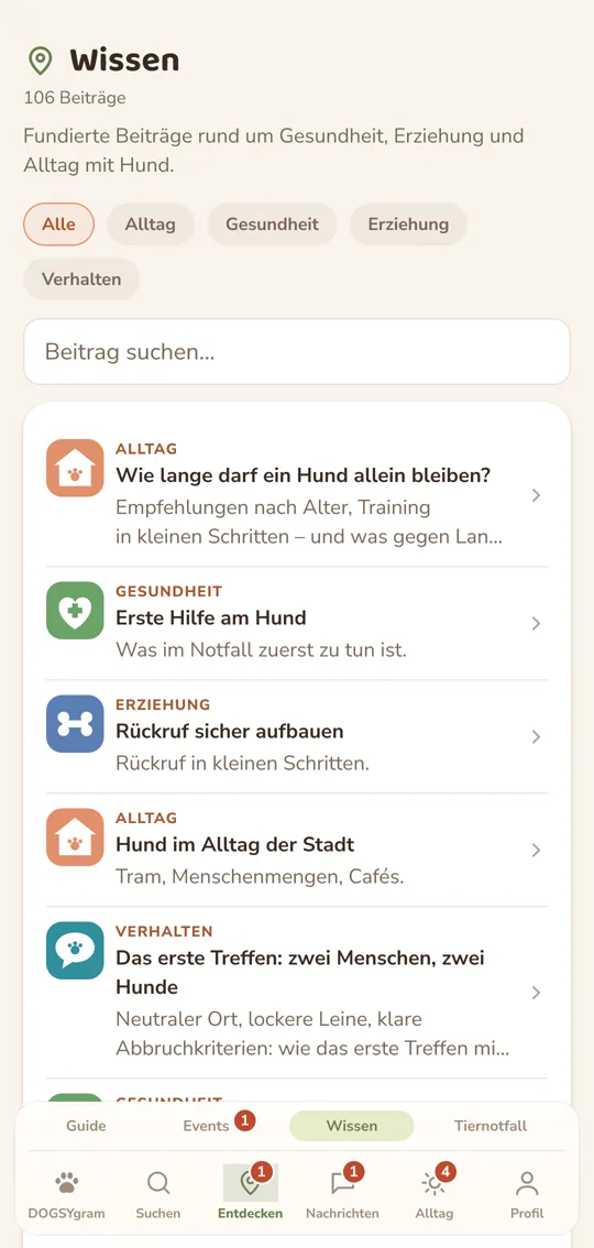 Die Beitrags-Liste mit Kategorie-Filtern und Suchfeld