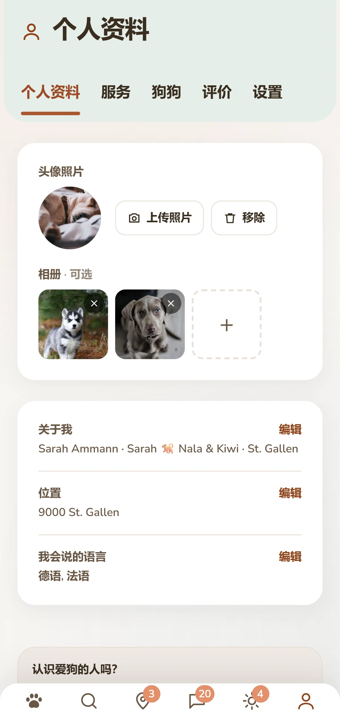 带照片、简介和下方标签页的个人资料