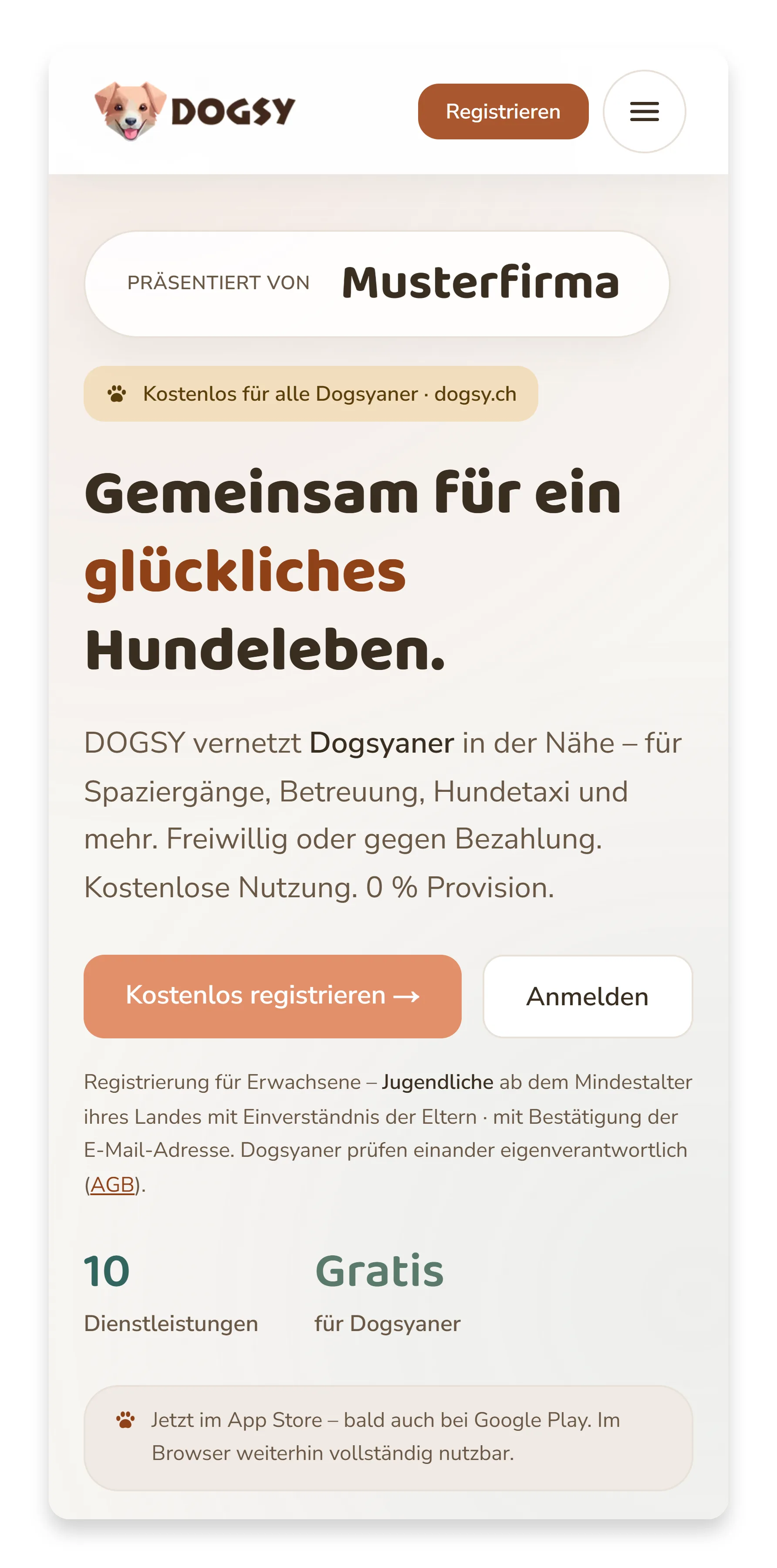 Website (Handy)