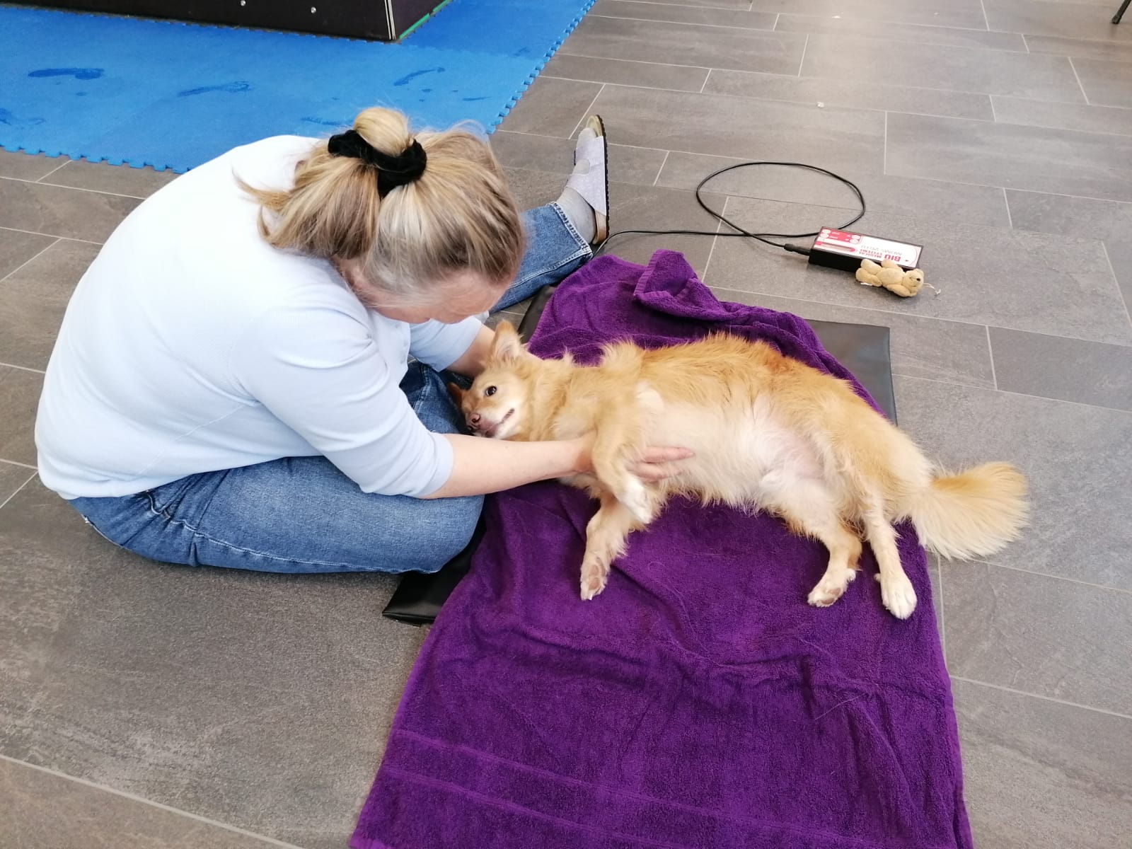 gesundheits-Centrum für Hunde