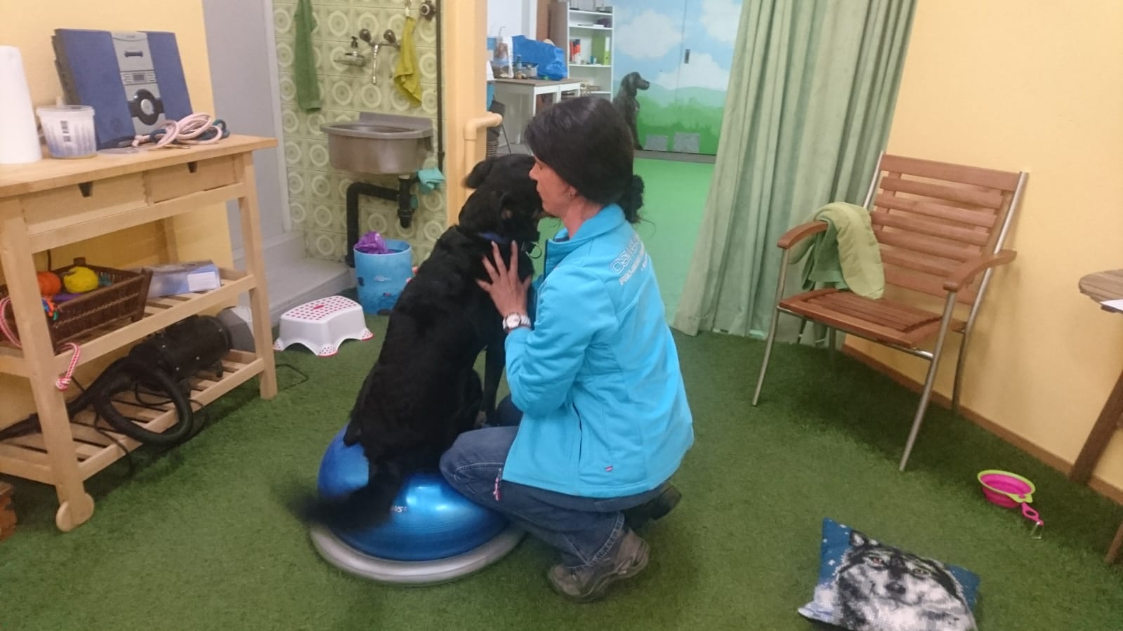 Hundumhappy, Hundeschule Wolfschool und Hundephysio-ZH