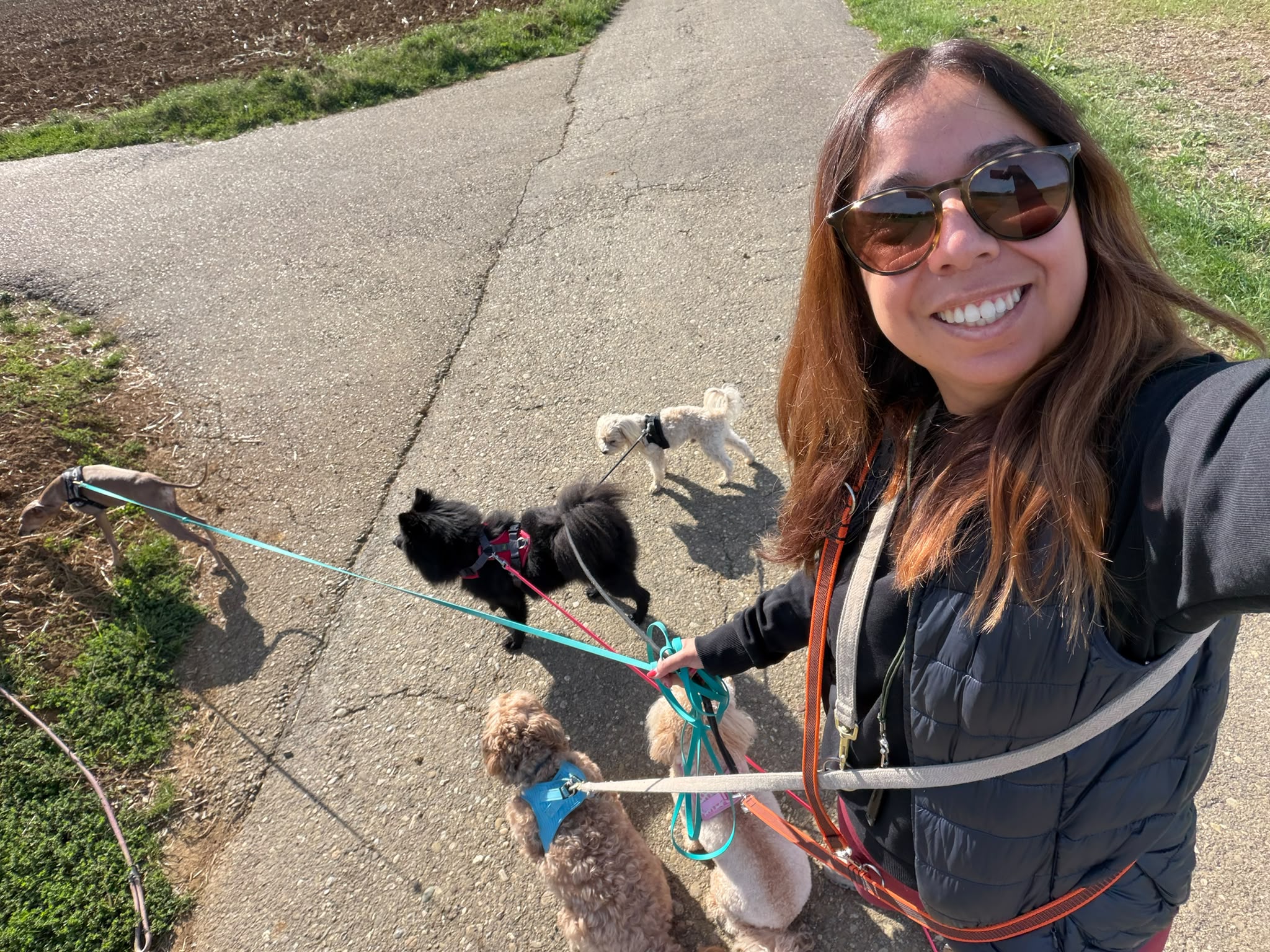 Paulis Hundetraining_HuTa
