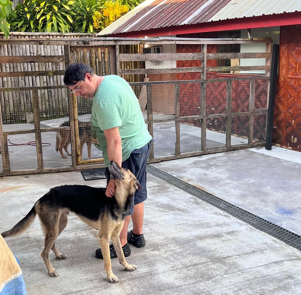 Hundeschule Zuhause