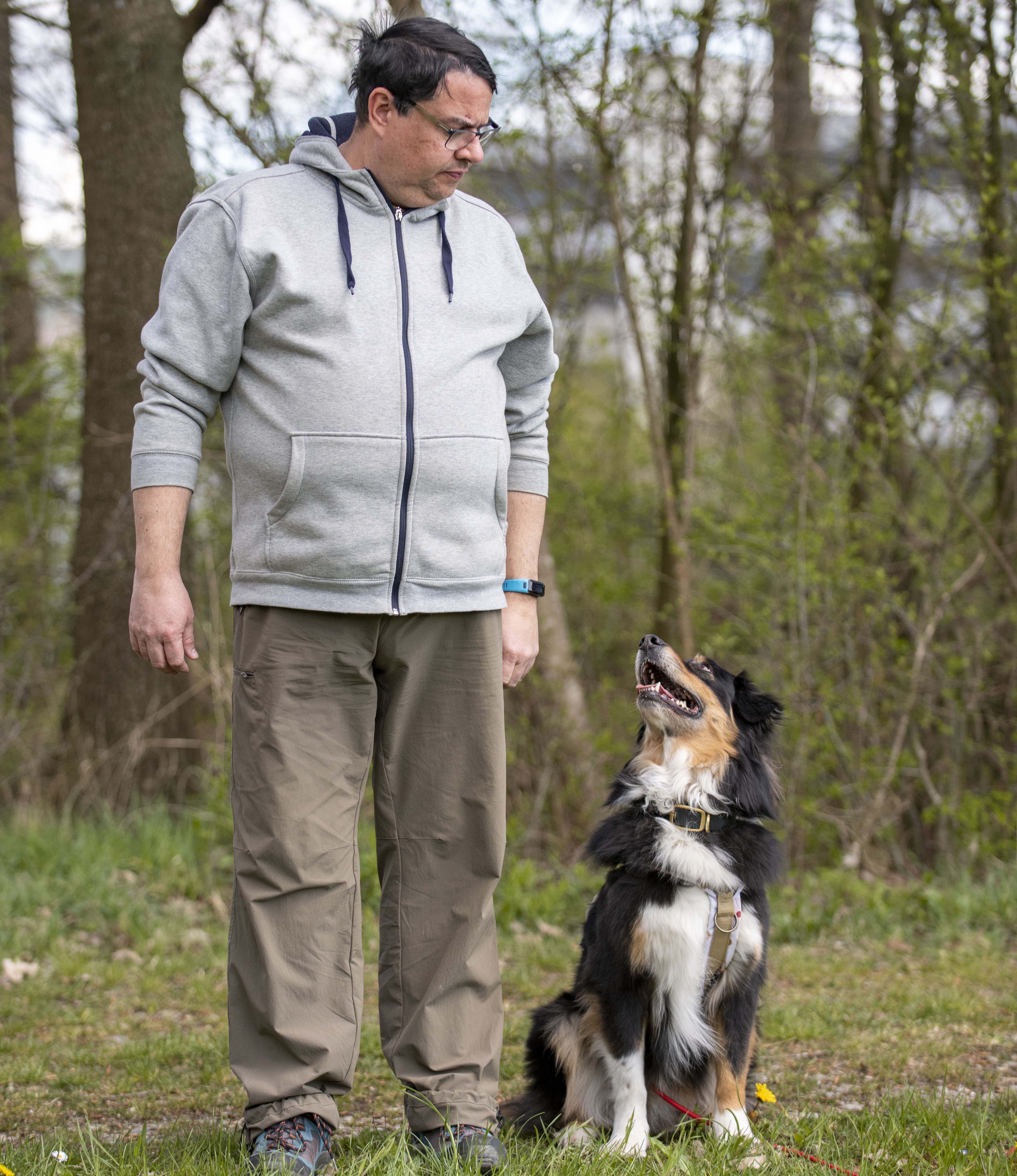 Hundeschule Zuhause