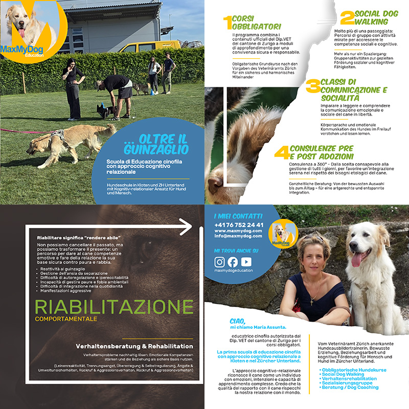 MAXMYDOG Education