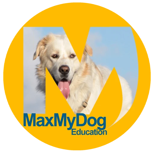 MAXMYDOG Education