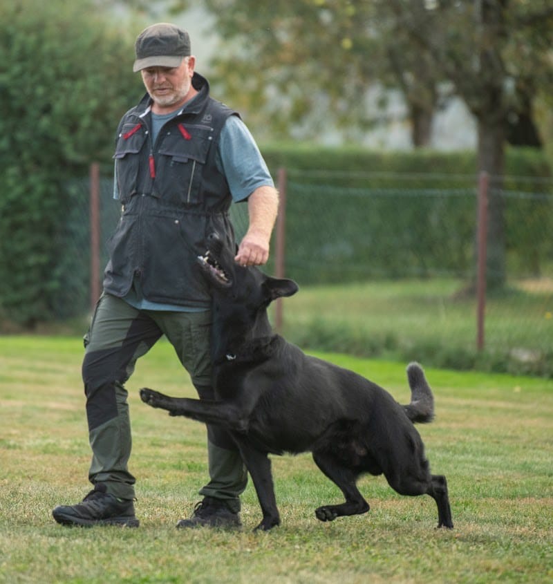 Hundeschule sportdogs