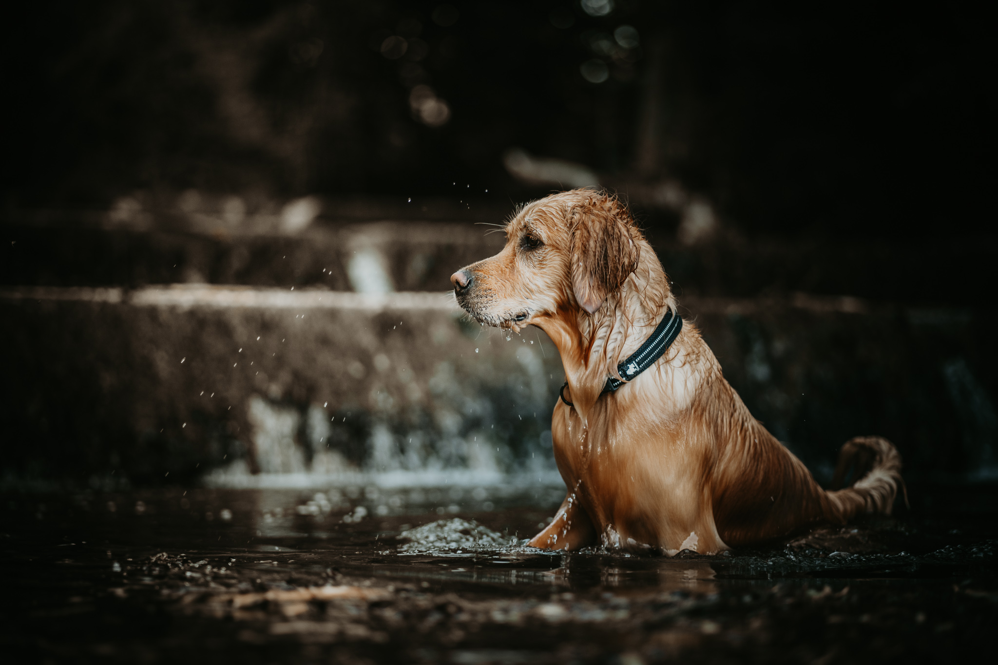 Lisa-Marie Kurth Photography