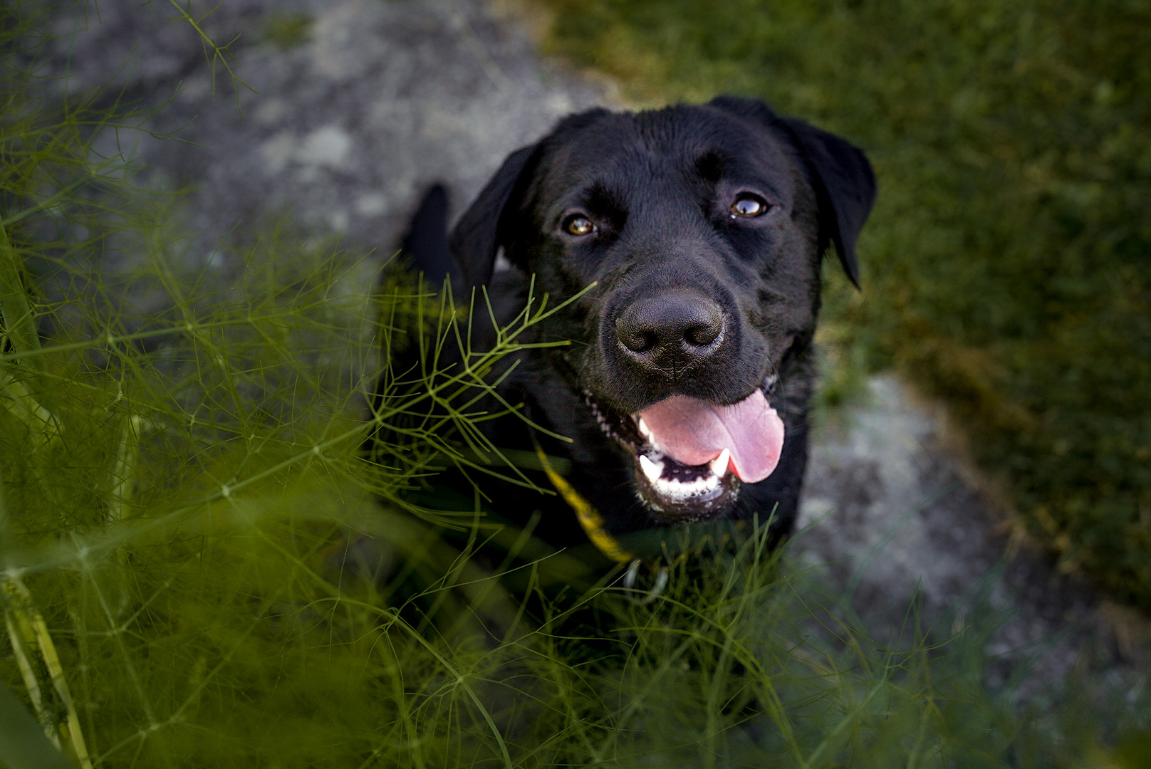 Lisa-Marie Kurth Photography