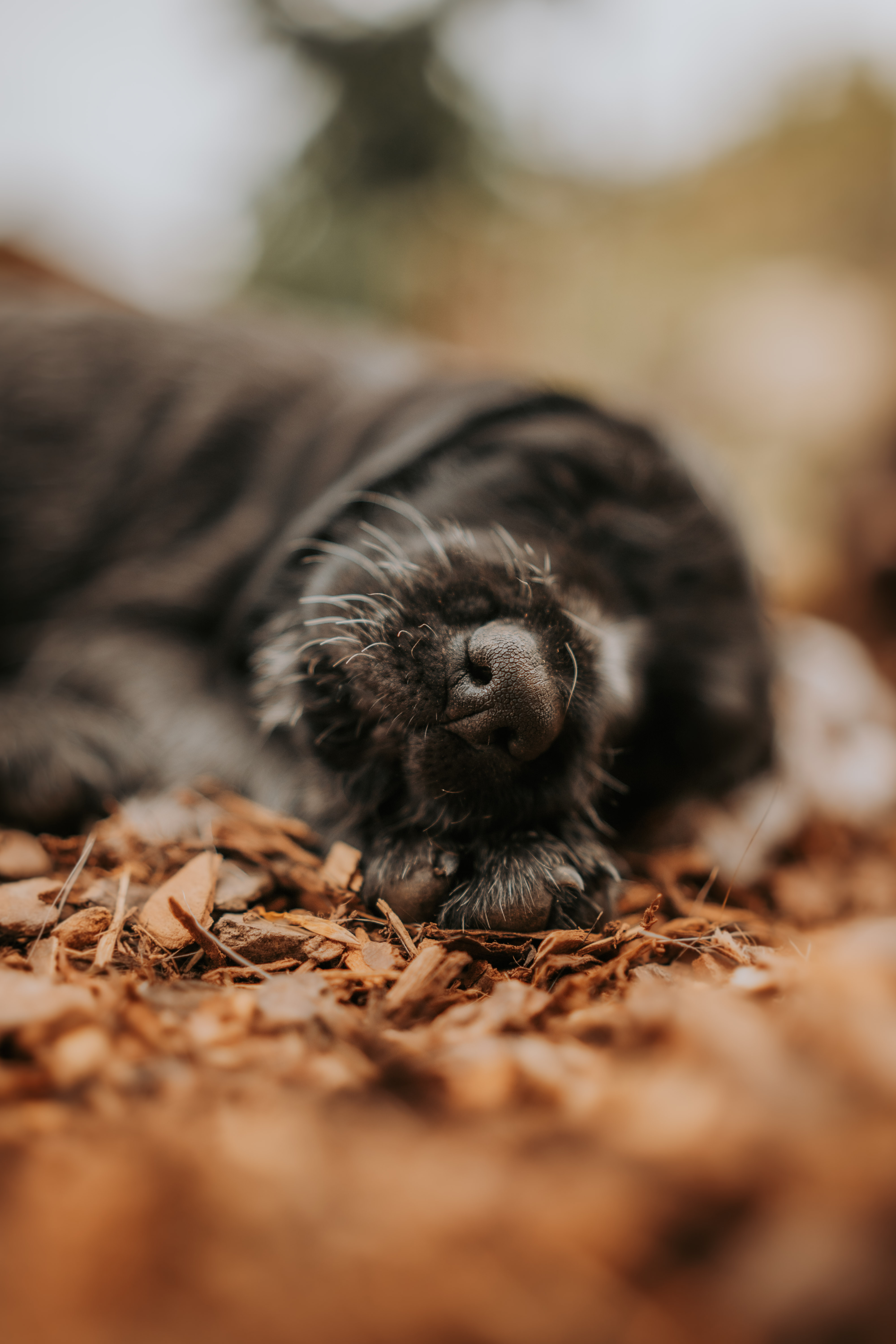 Lisa-Marie Kurth Photography