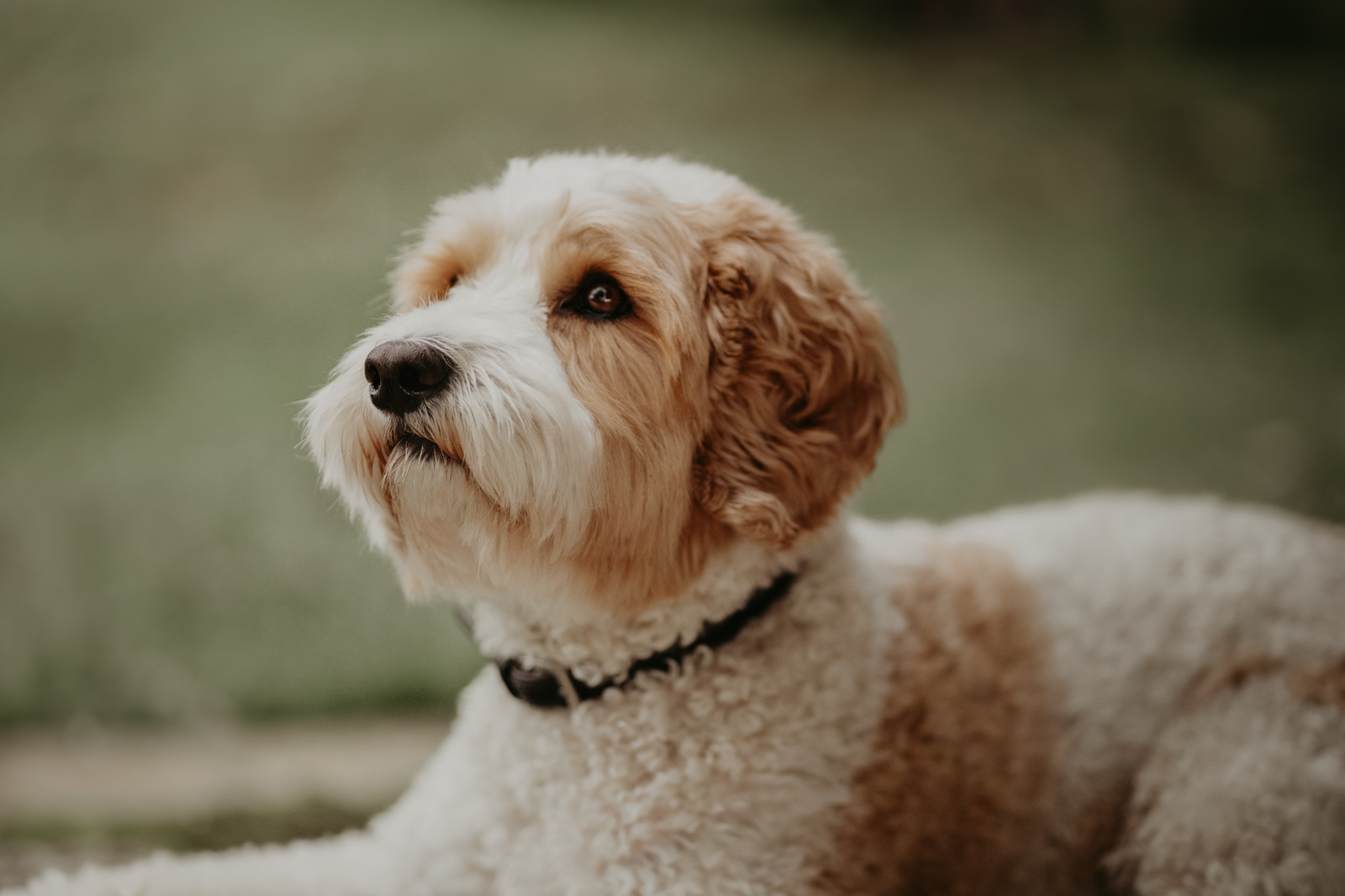 Lisa-Marie Kurth Photography
