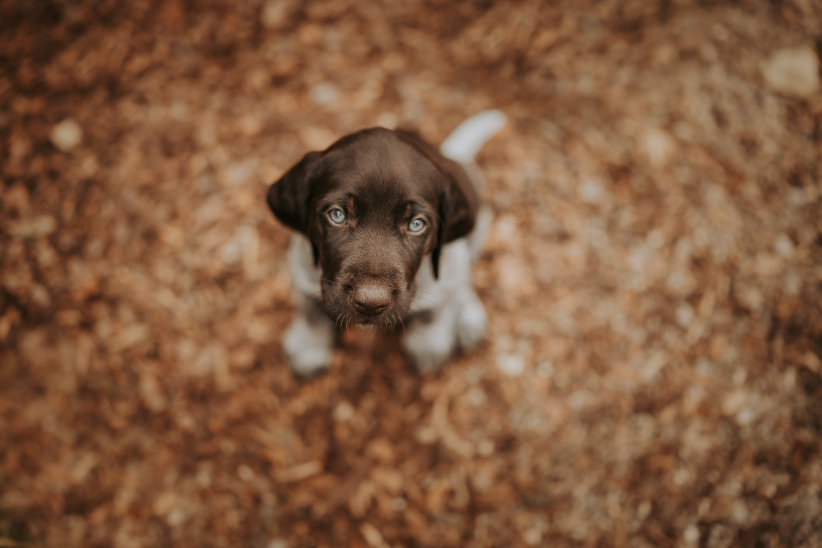 Lisa-Marie Kurth Photography