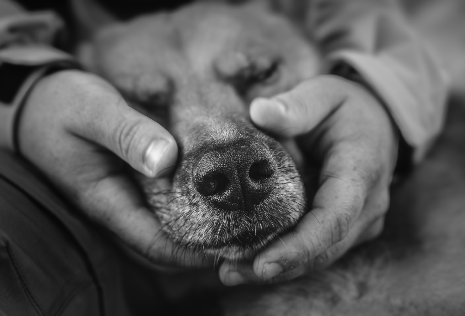 Lisa-Marie Kurth Photography