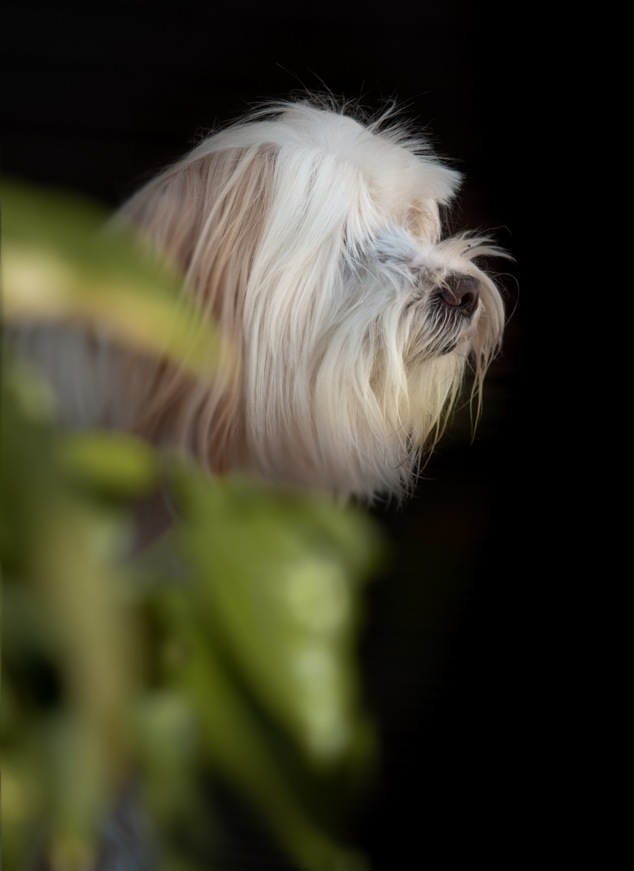 Lisa-Marie Kurth Photography