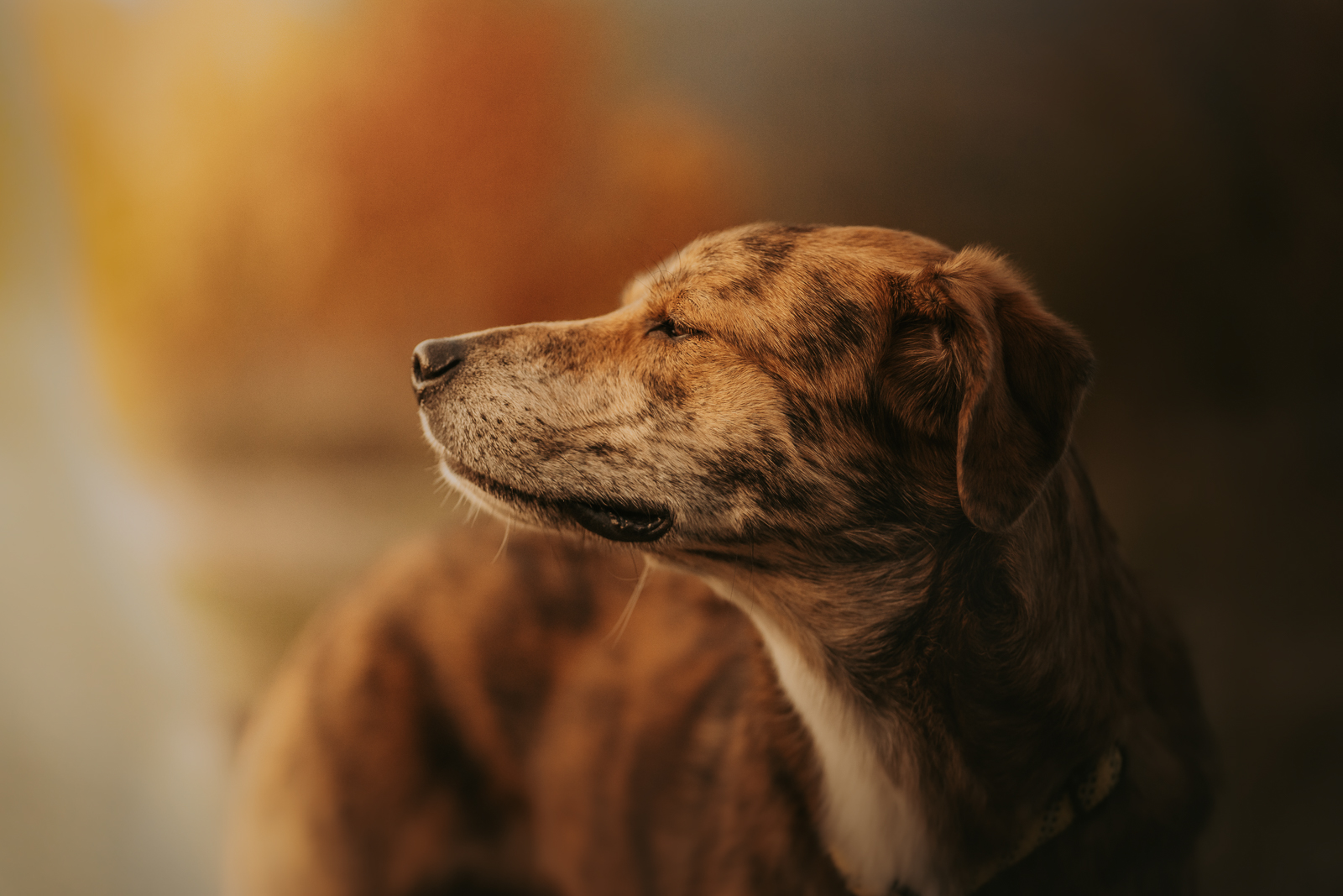 Lisa-Marie Kurth Photography