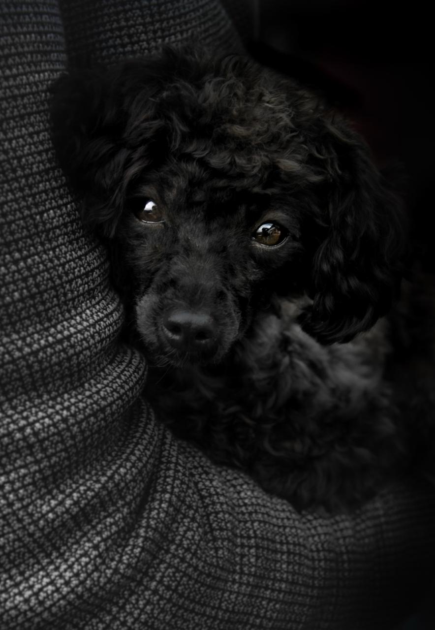 Lisa-Marie Kurth Photography