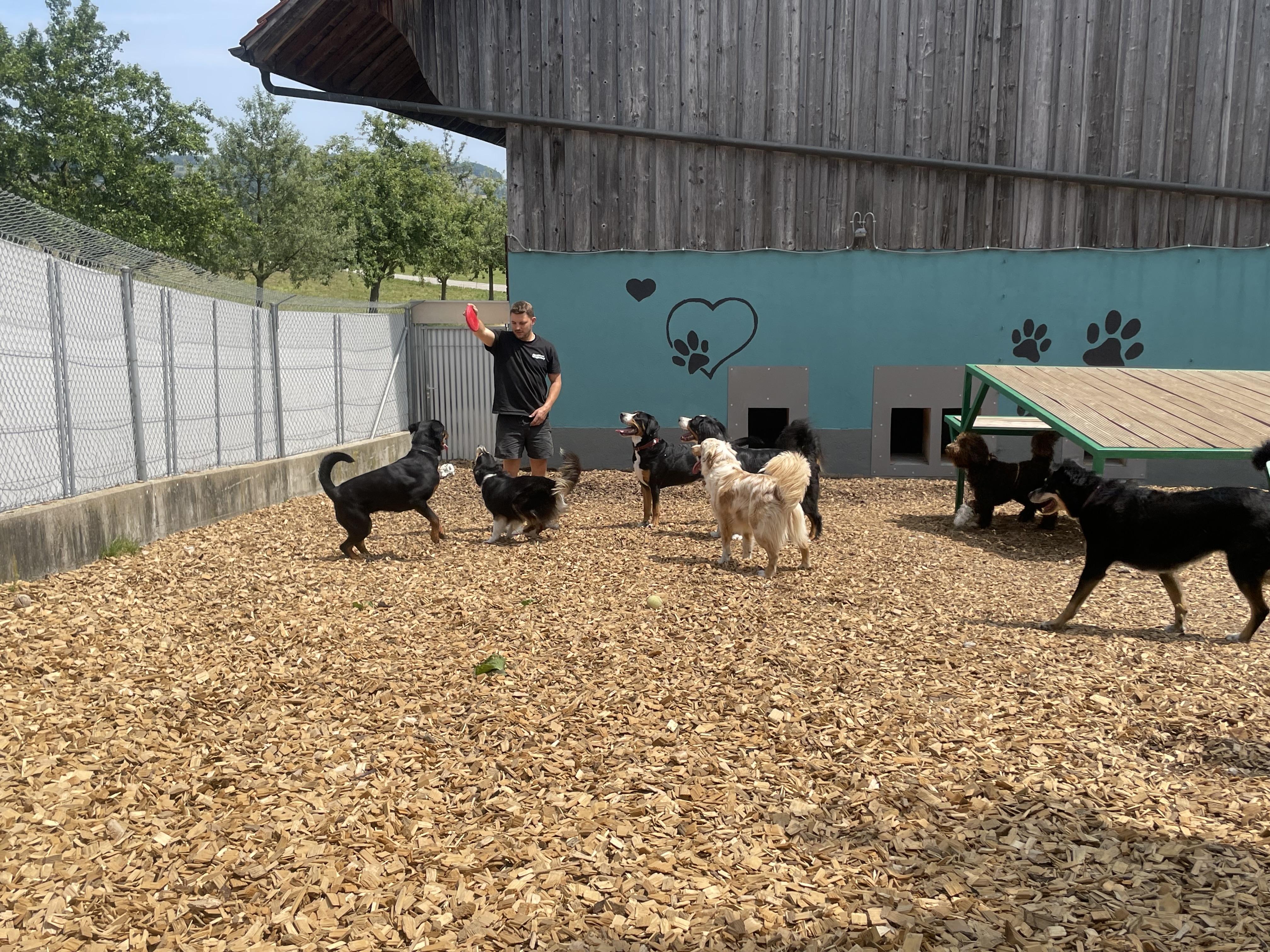 Hundeferien Toggenburg